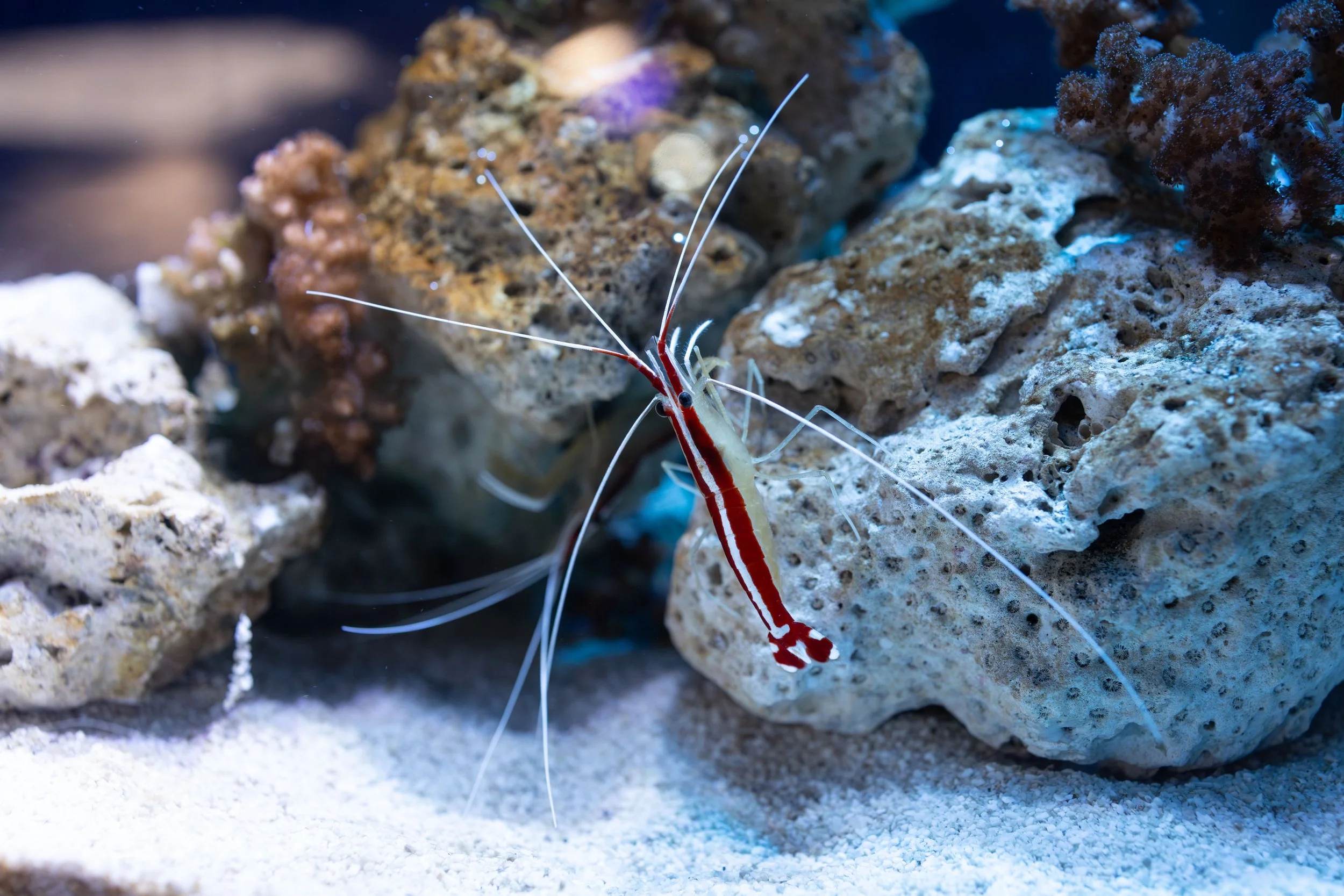 2025-12-02 14h31m16s.jpg