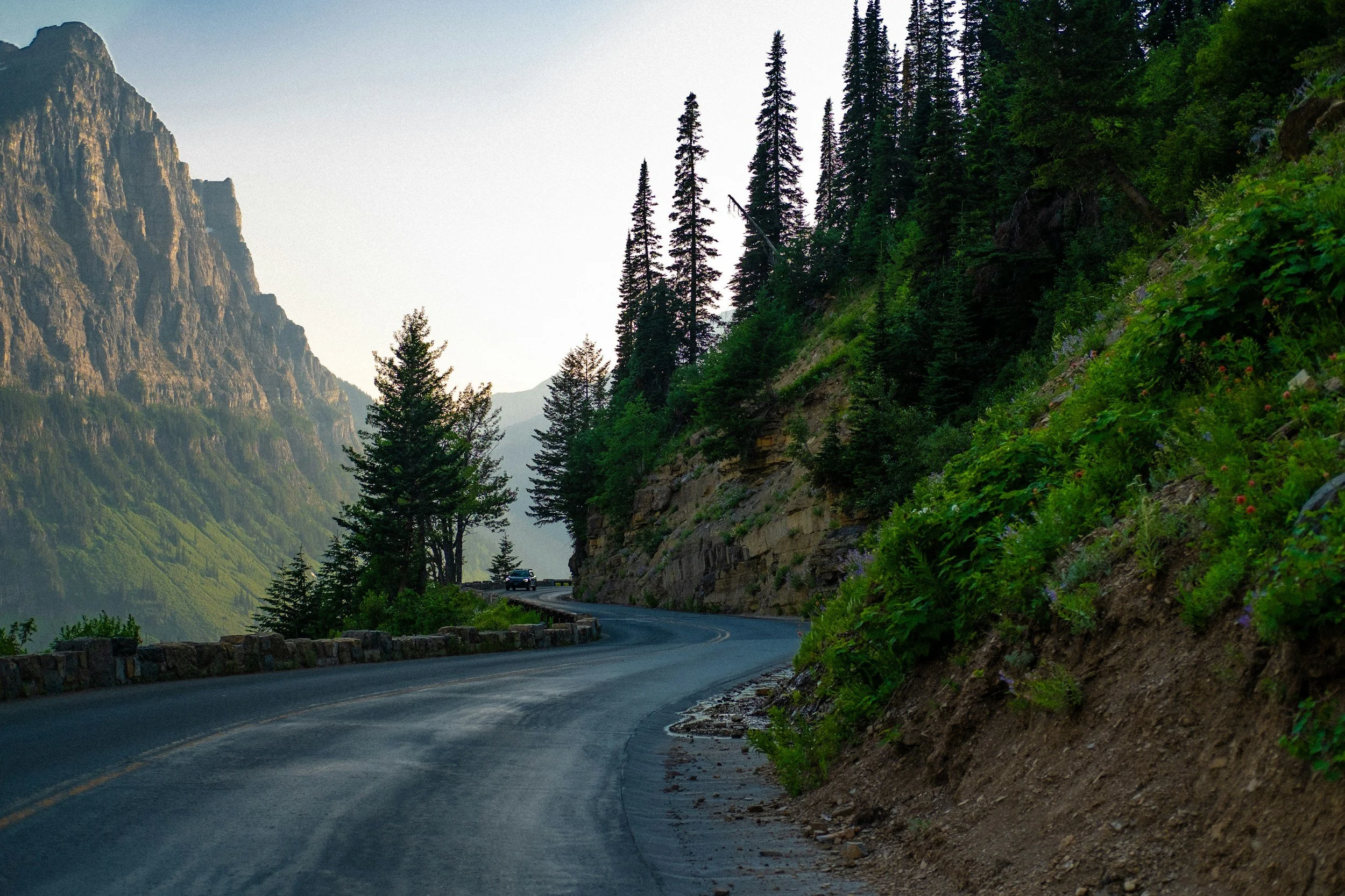 A winding mountain road surrounded by tall trees and rocky cliffs.