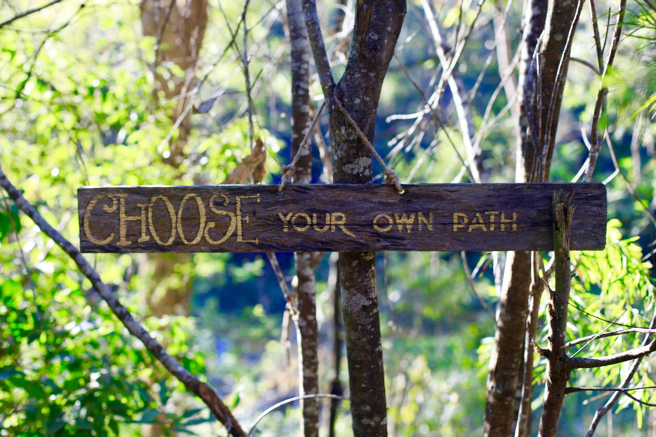 A wooden sign is nailed to a thin tree in a forest. The sign is engraved with the words 'CHOOSE YOUR OWN PATH'.