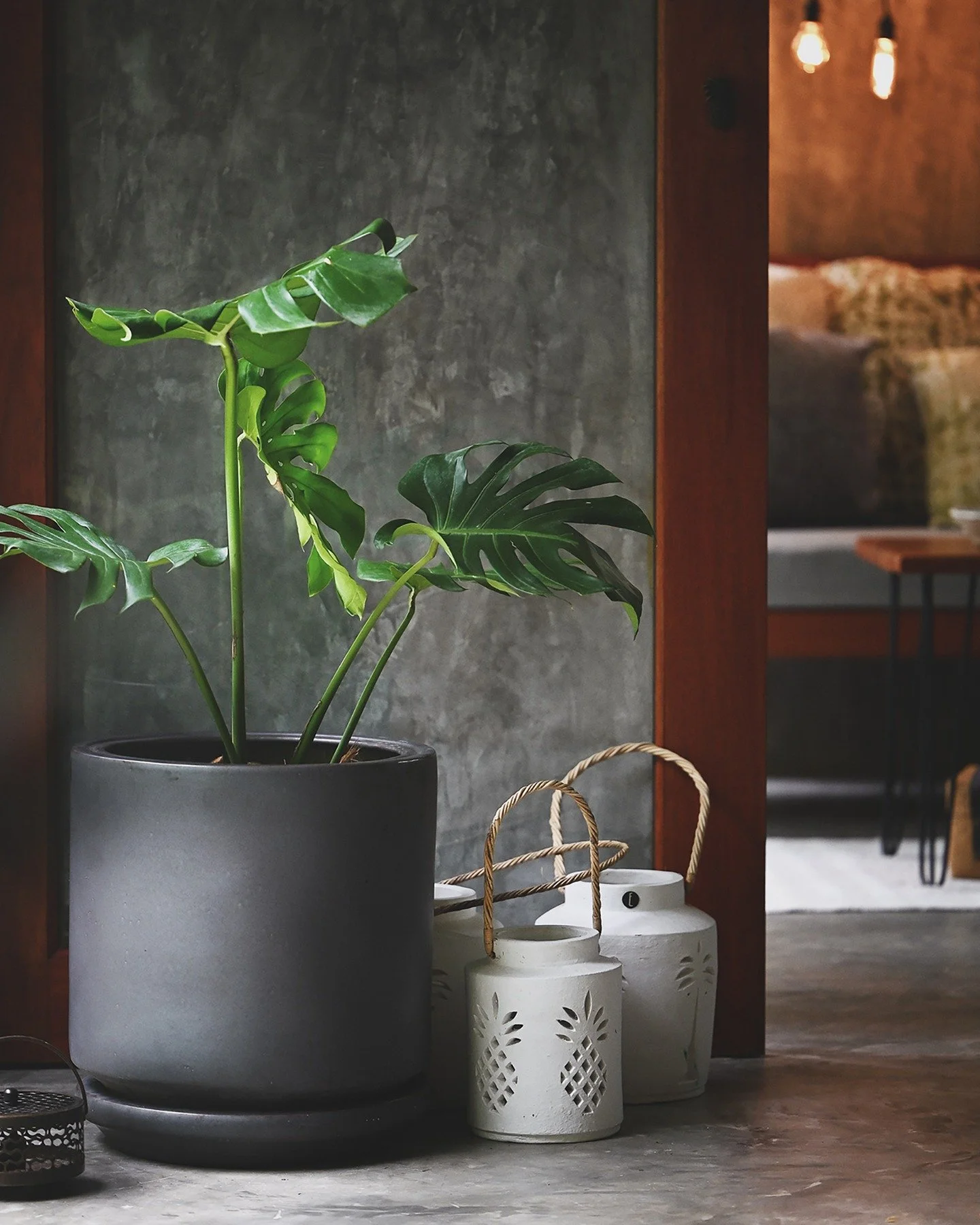 Beautiful new pots! When it comes to making my happy place even happier, there is no budget and nothing is too inconvenient. 

My toilet view *must* be elite. This vase is perfect. 

Bought this gorgeous vase and the monstera pot in May in Lampang wi