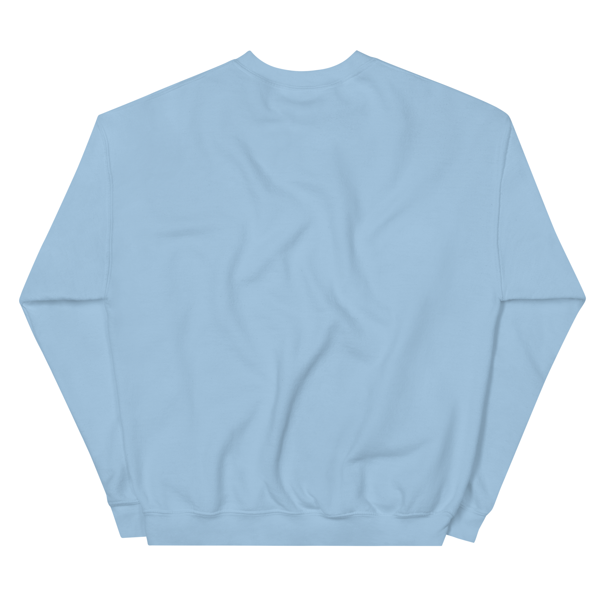 unisex-crew-neck-sweatshirt-light-blue-back-6a192a1ae86c6.png