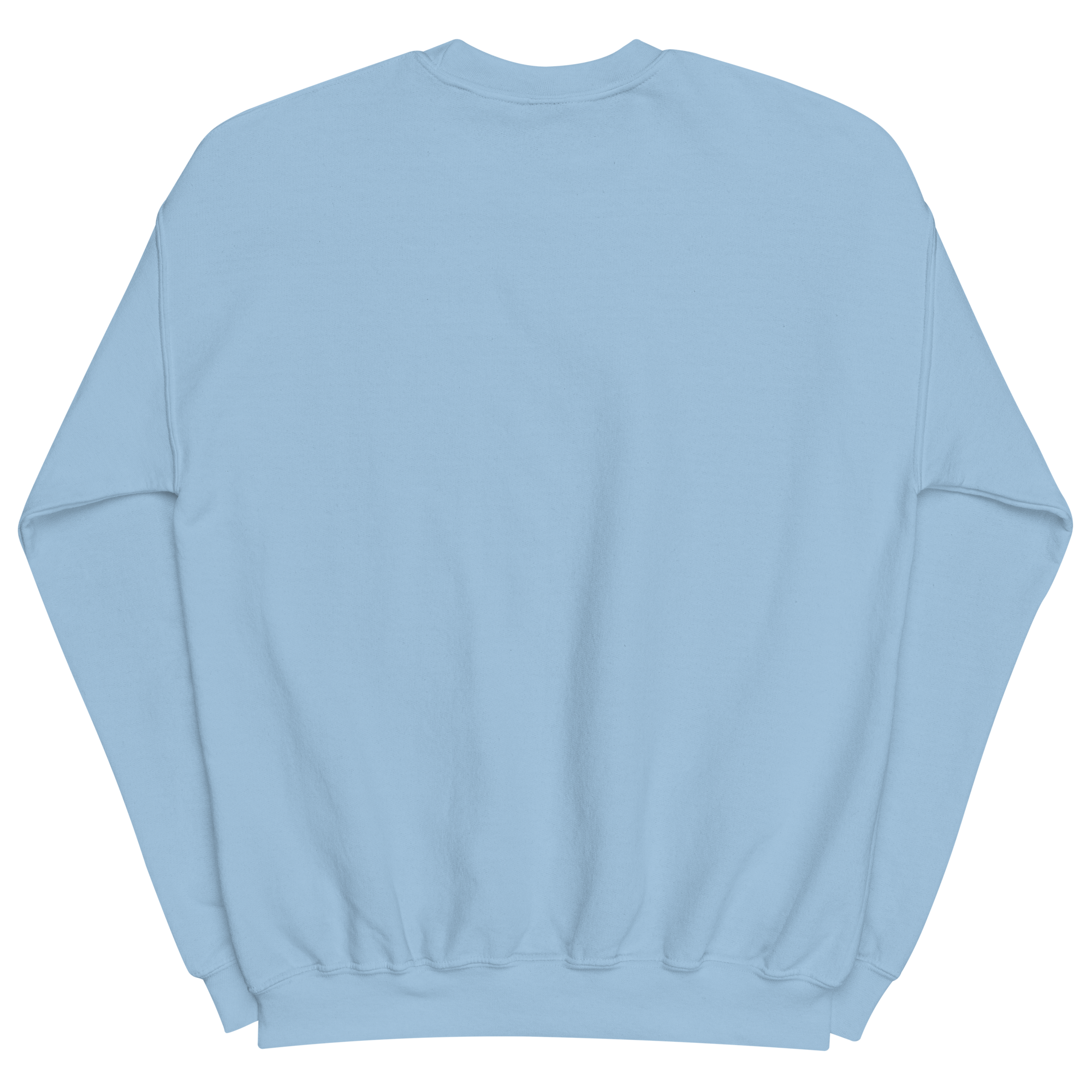 unisex-crew-neck-sweatshirt-light-blue-back-6a192505b30d8.png