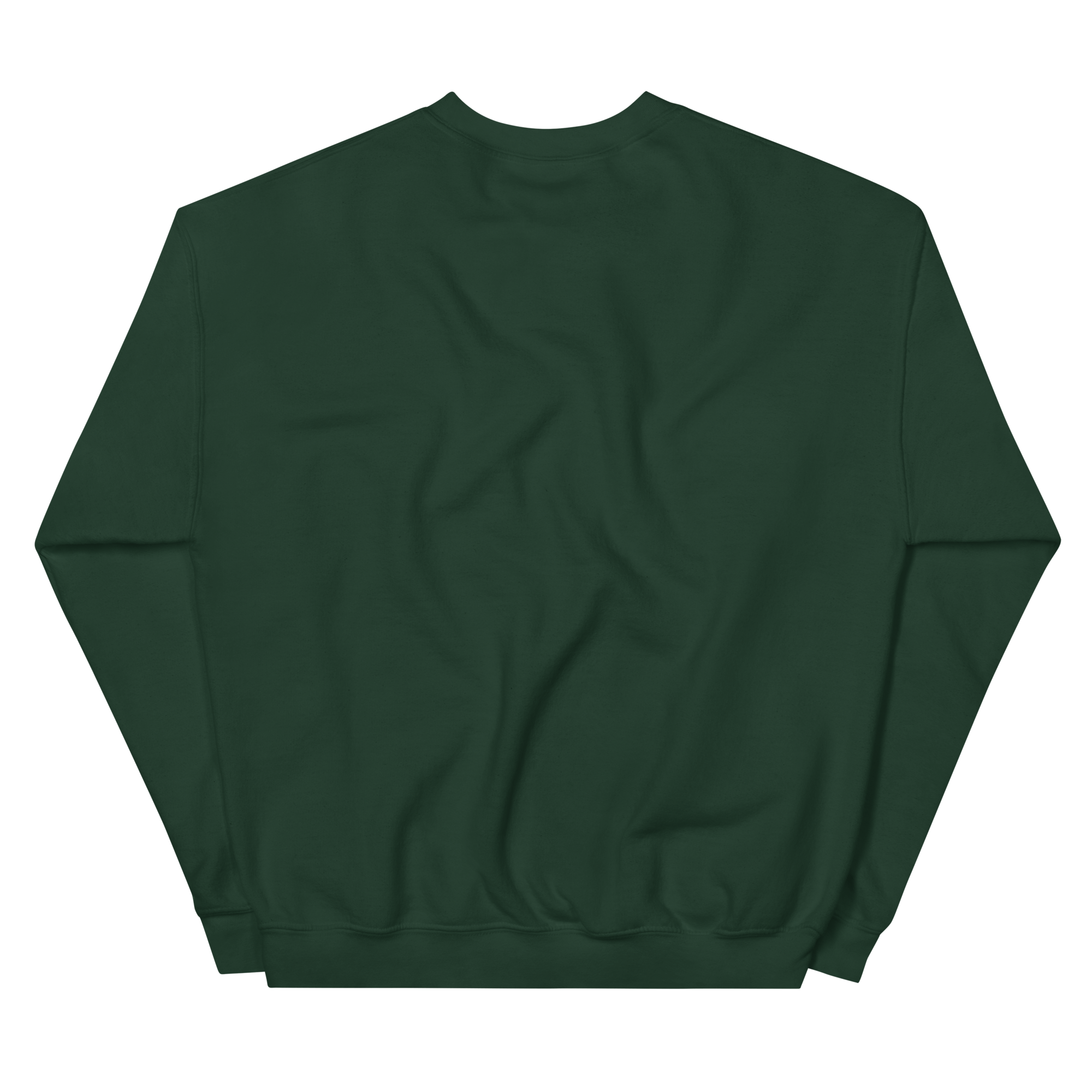 unisex-crew-neck-sweatshirt-forest-green-back-6a2cf76b3b2a8.png