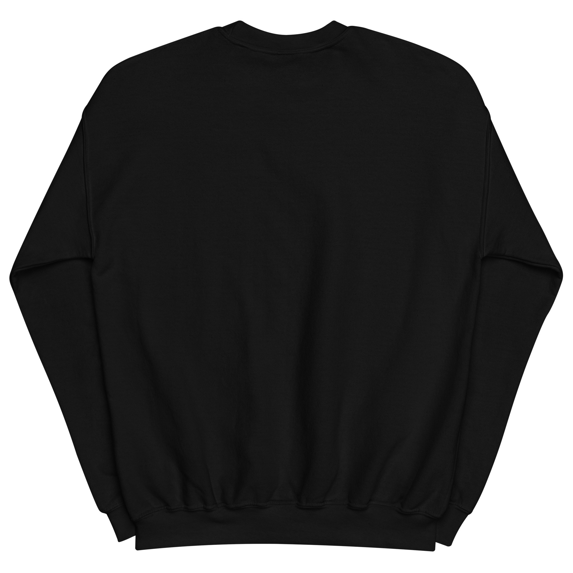 unisex-crew-neck-sweatshirt-black-back-6a192505b2e41.png