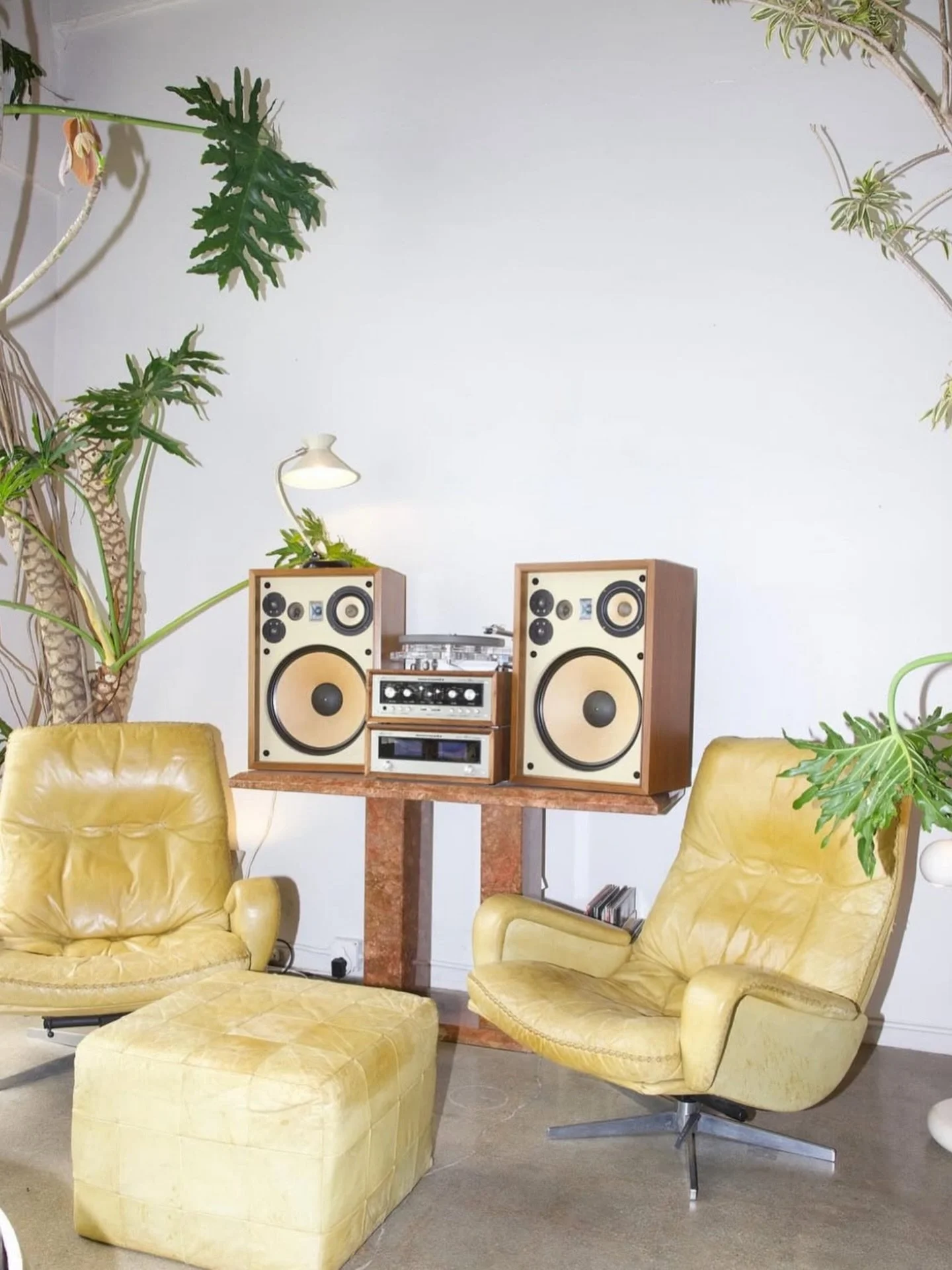 Vibe 🌞🫶🏽
Via @kellywearstler