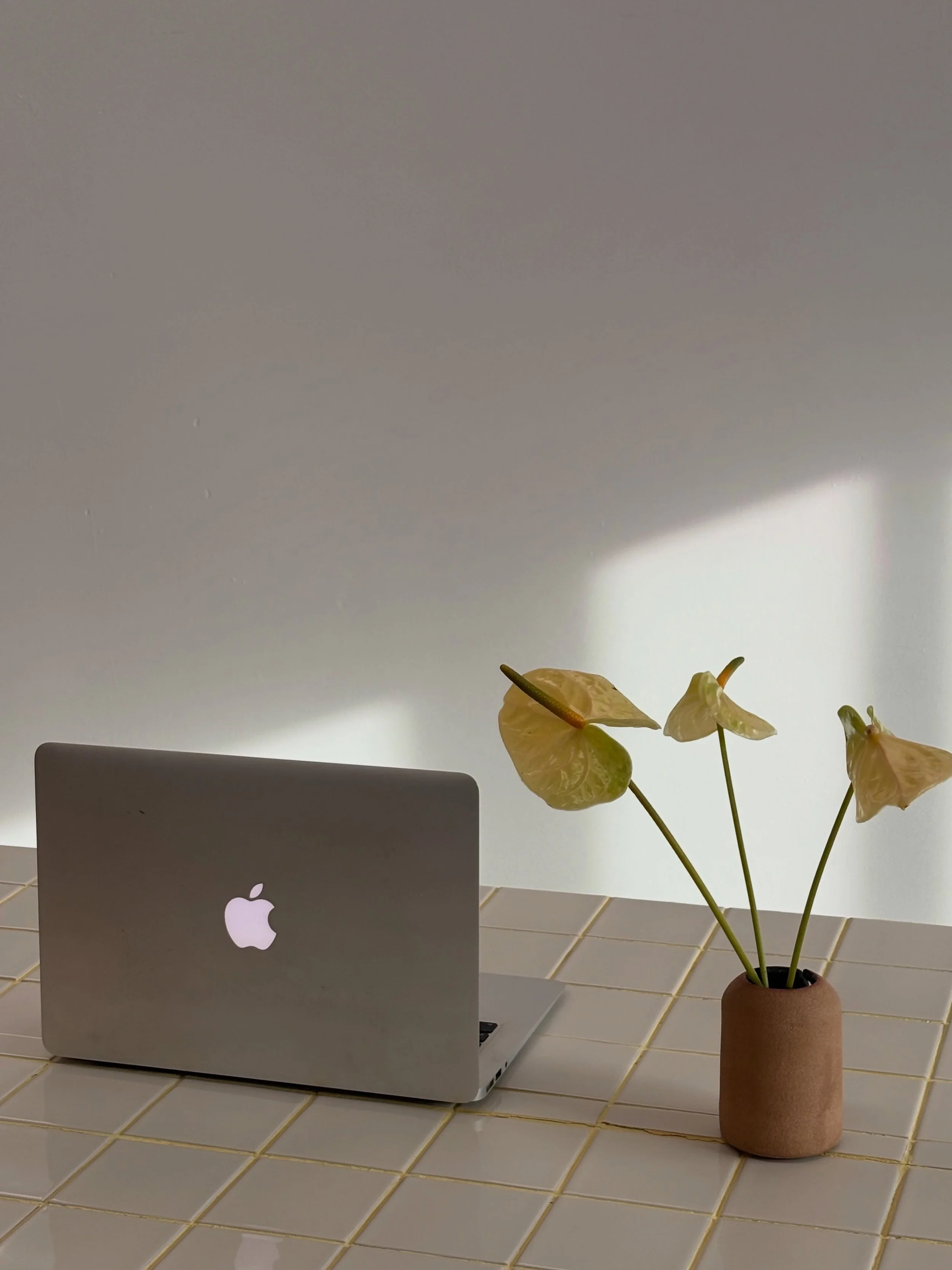 Lately in the studio:
~ Arvo light and cute flowers 
~ Event snaps 
~ Some of the co-working crew at @elena.elena.official launch event 
~ The lady herself @elena.elena.official 
~ Rainy days, candle-lit lunches
~ Breathwork event setup with @taniabo