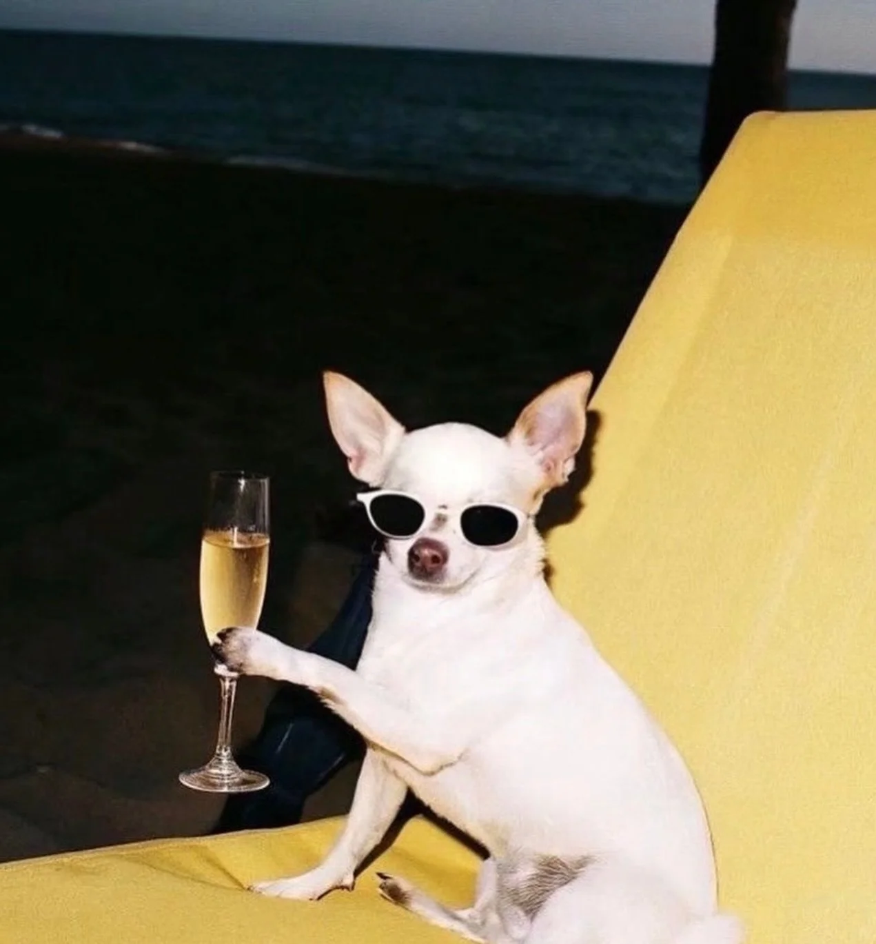 It&rsquo;s Friday, suns coming out, cheers 🌞
Via @iamlaurajackson