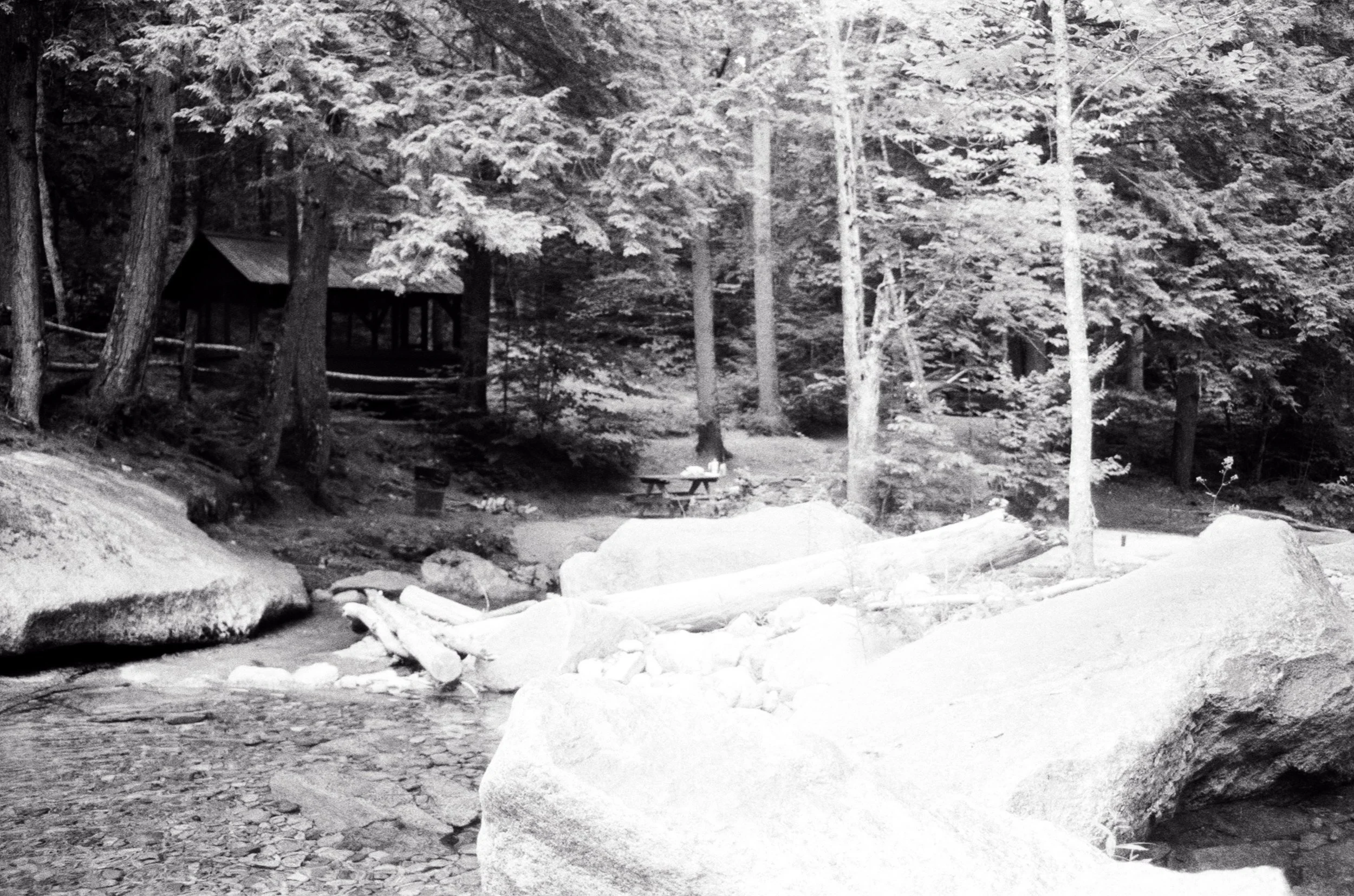 NH out back.jpg