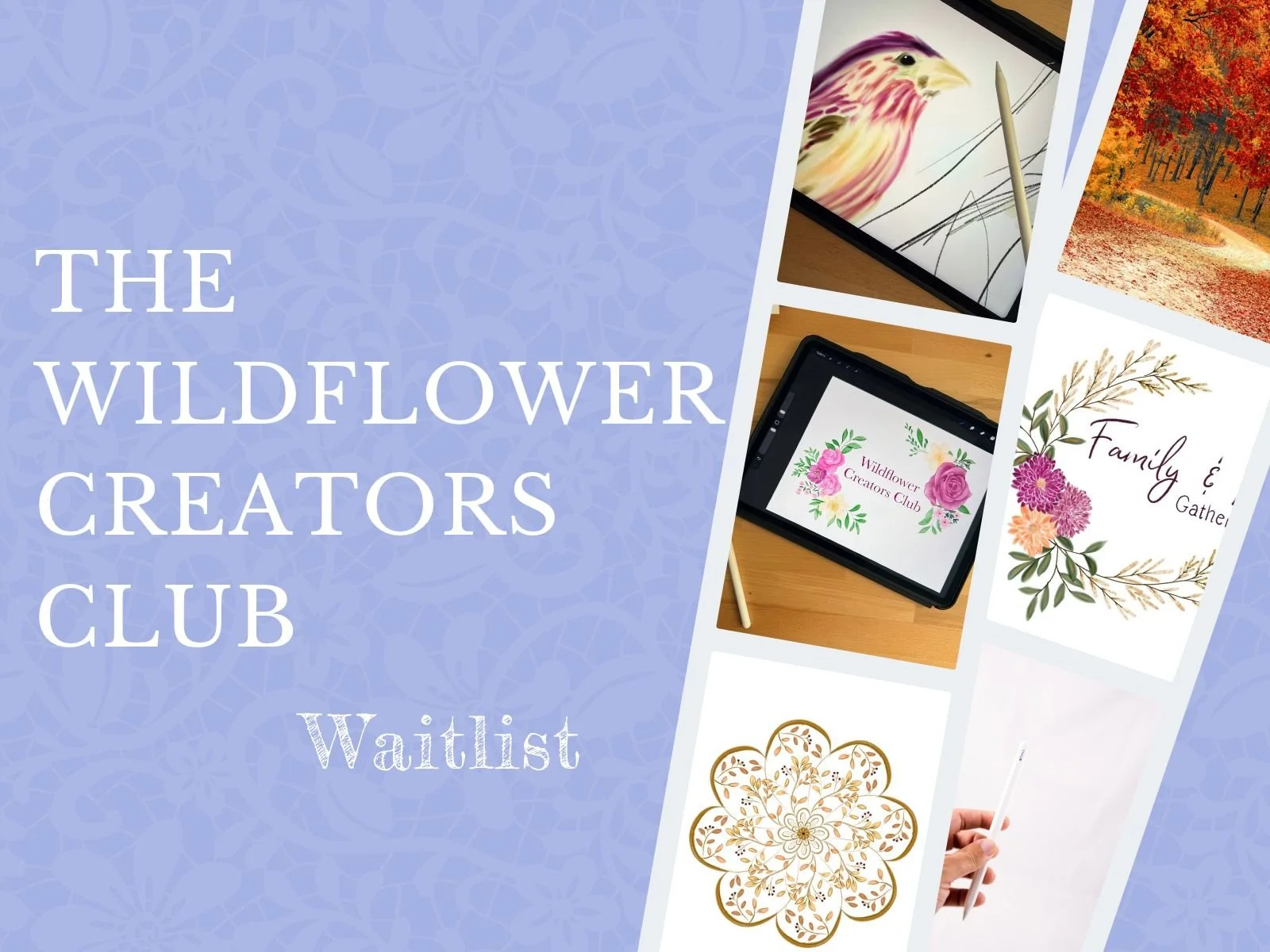 The Wildflower Creators Club - Procreate Edition