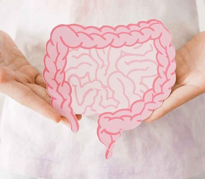 Person holding a paper cutout illustration of intestines in pink tones.