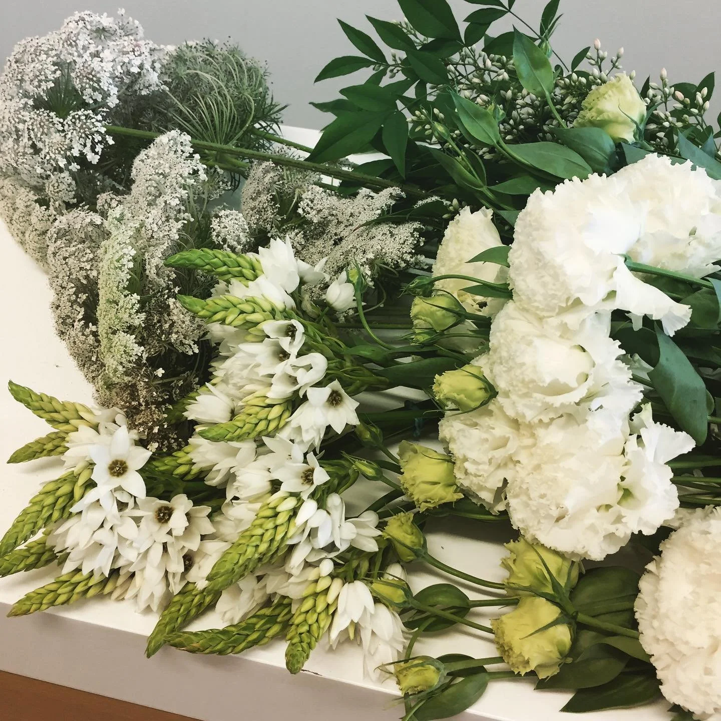 Clouds of white fluffy things #wholesaleflowers #hamiltonflowermarket