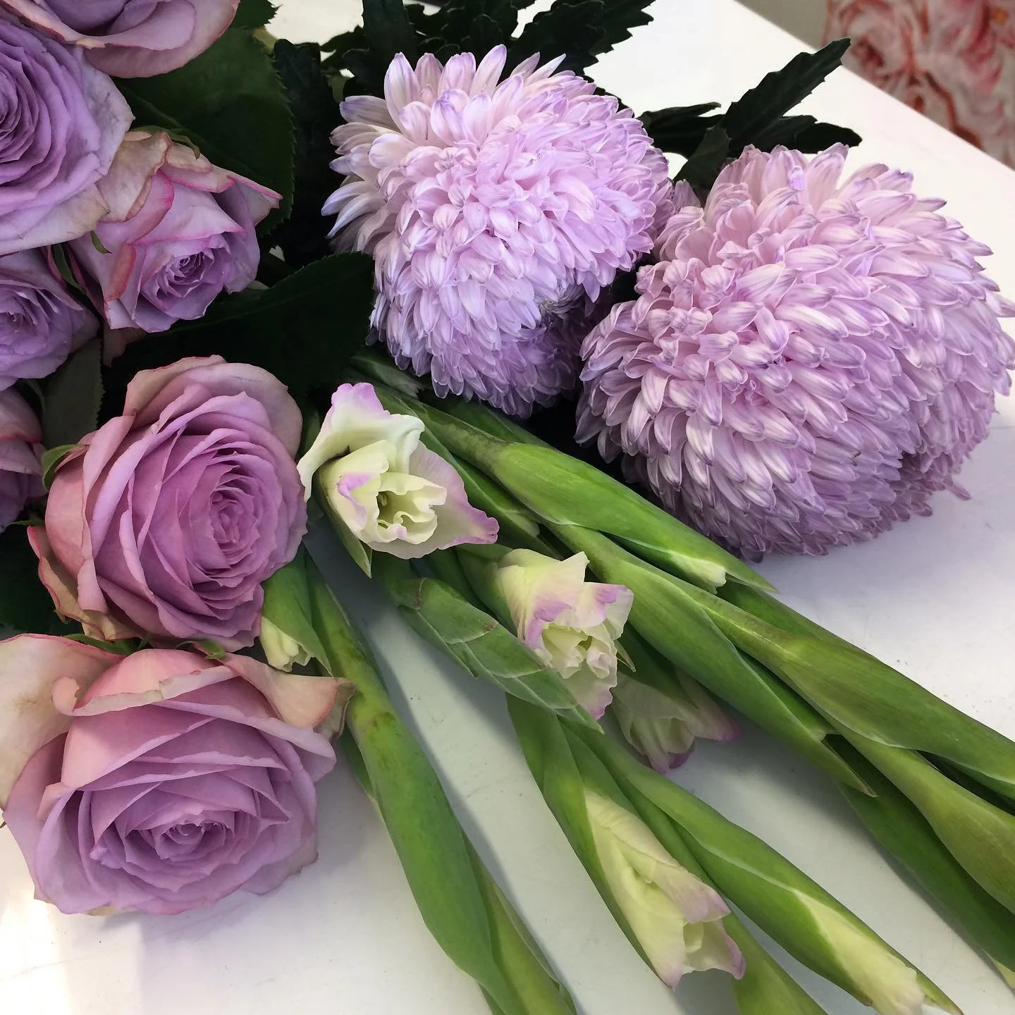Mauve magic! This mauve edged gladioli might be the prettiest thing #wholesaleflowers #hamiltonflowermarket