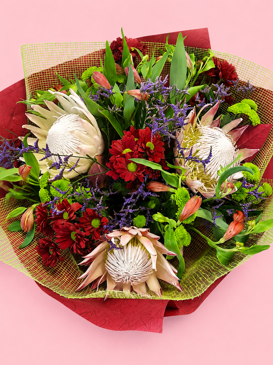Royal Protea Bloom