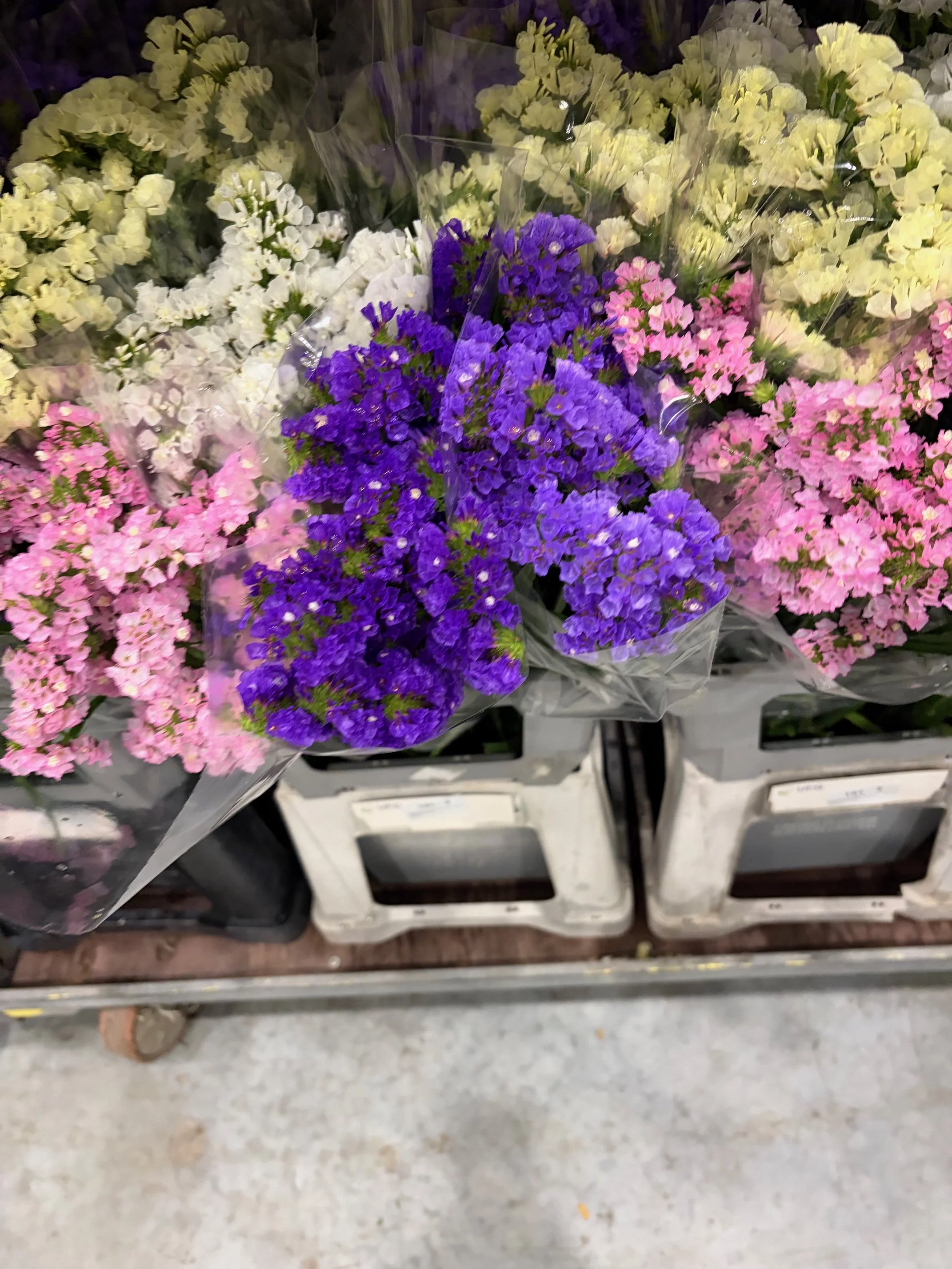 IMG_0281.jpeg