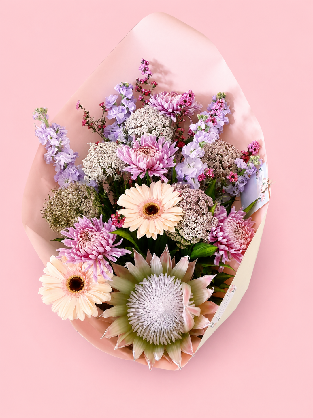 Soft Petal Elegance