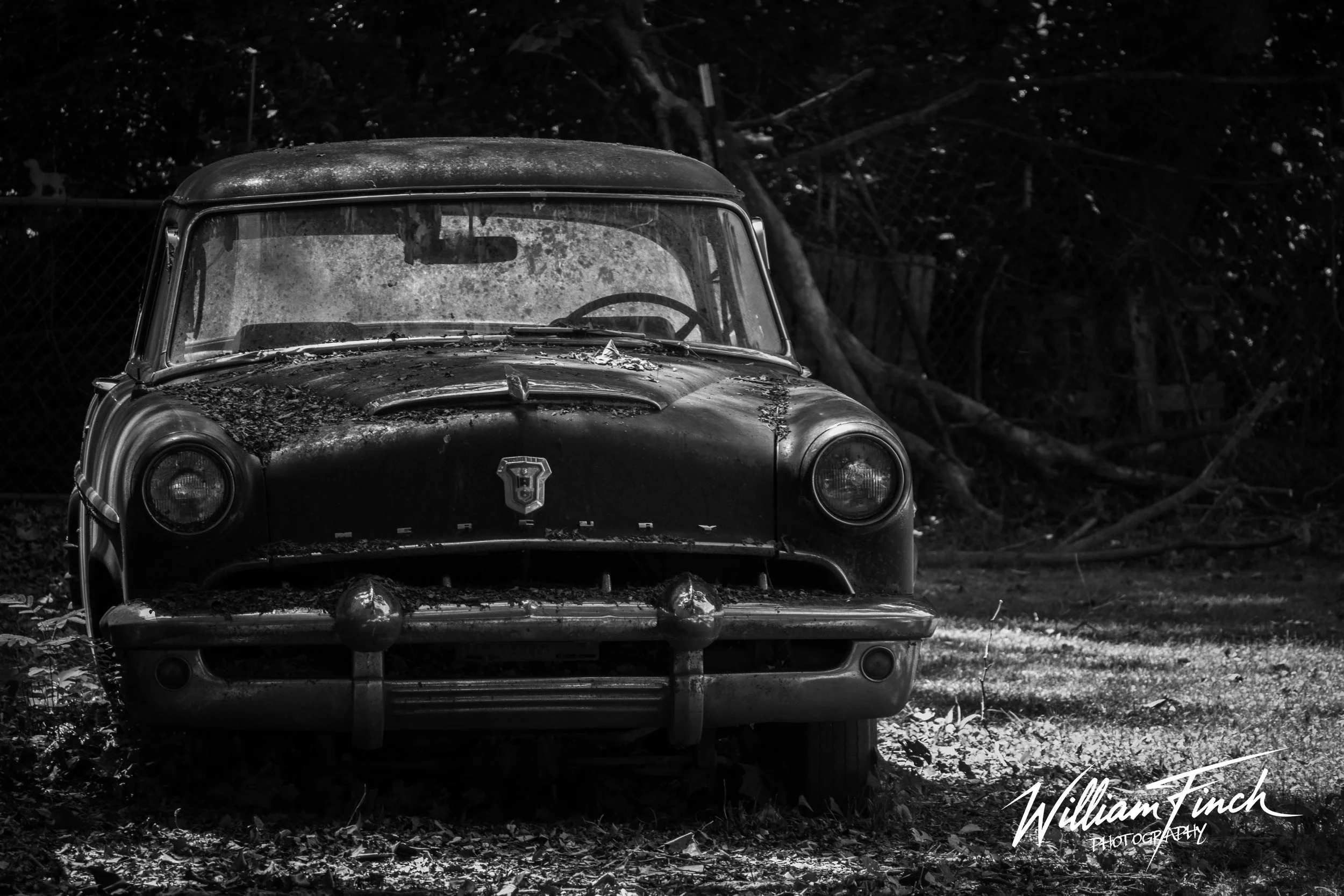 Mercury_front_B&W_w_sig.jpg