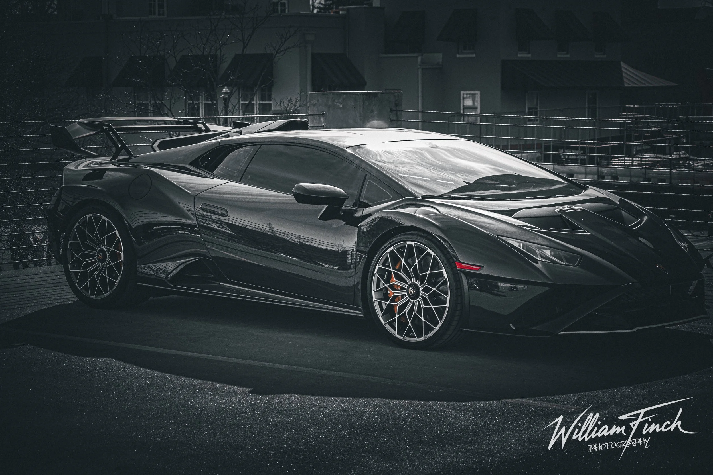 Lamborghini_Full_B&W_w_sig 2.jpg