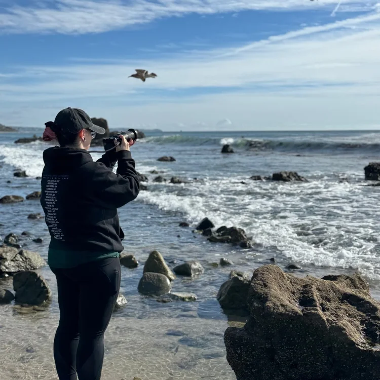 Alexis Noelle Galasso photographing a gull in flight from the rocks at Leo Carrillo State Park in Malibu.
