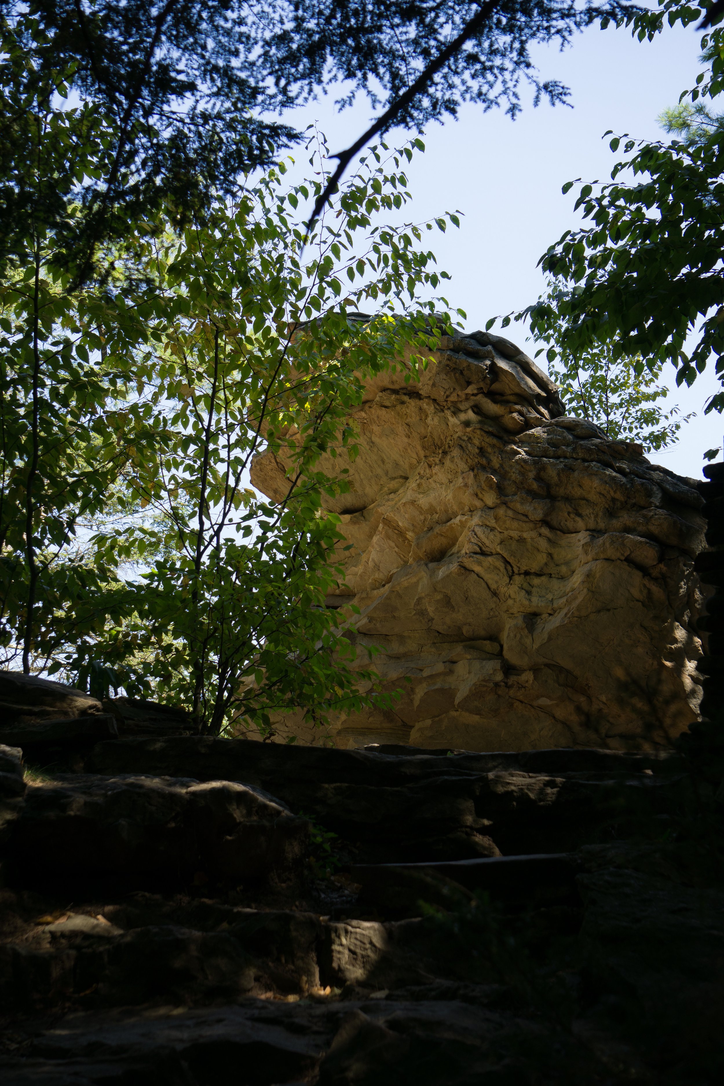 DSC03689.jpeg
