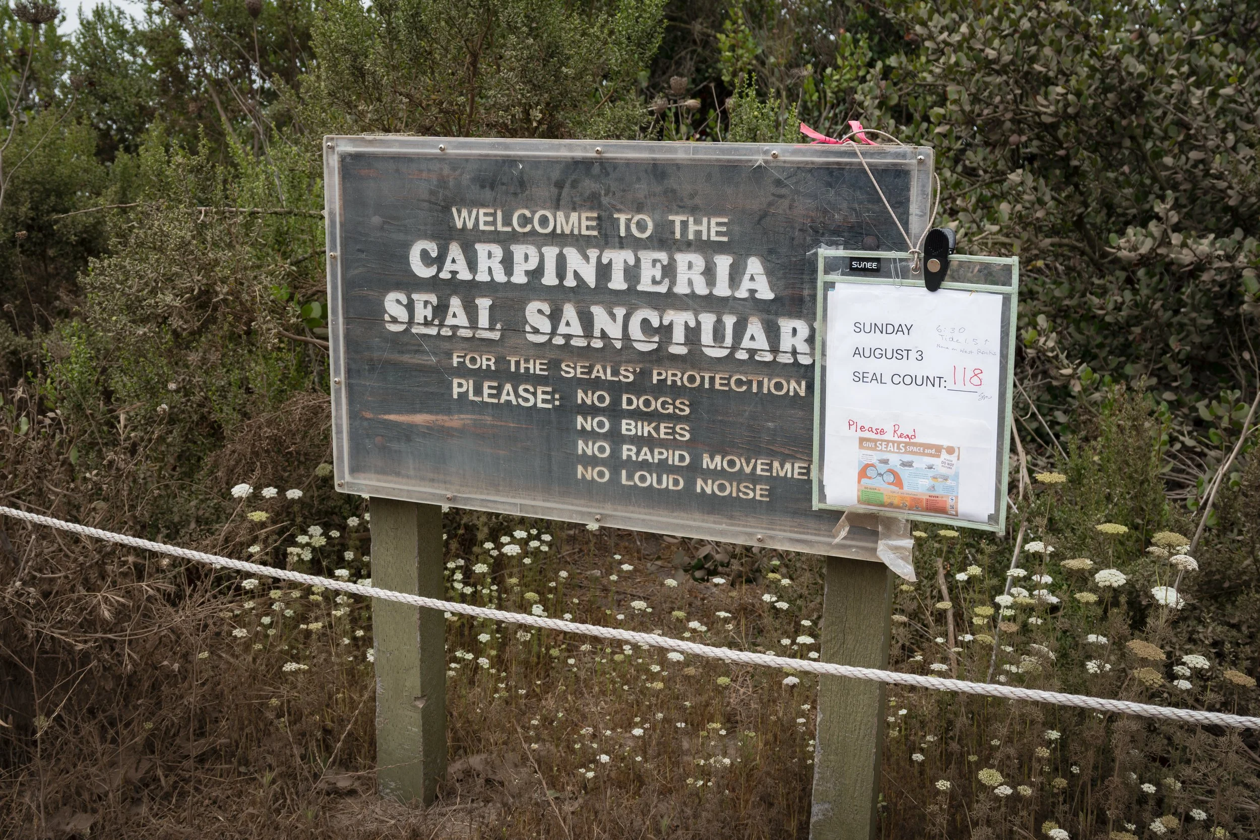 Carpinteria Seal Sanctuary Sign.jpg