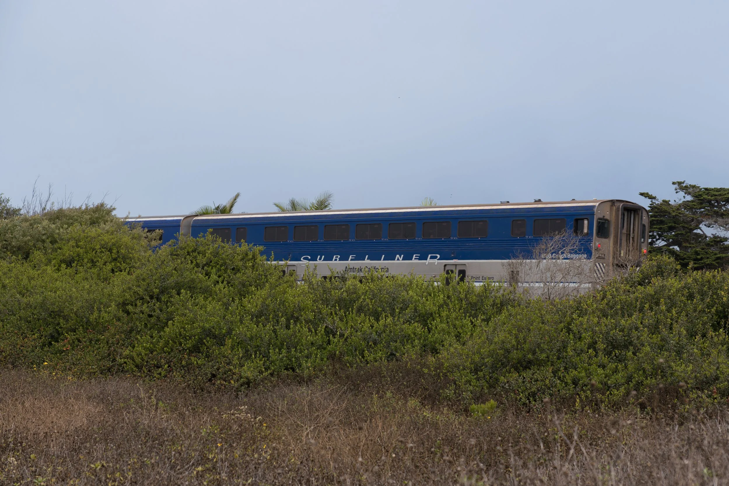 Surfliner.jpg