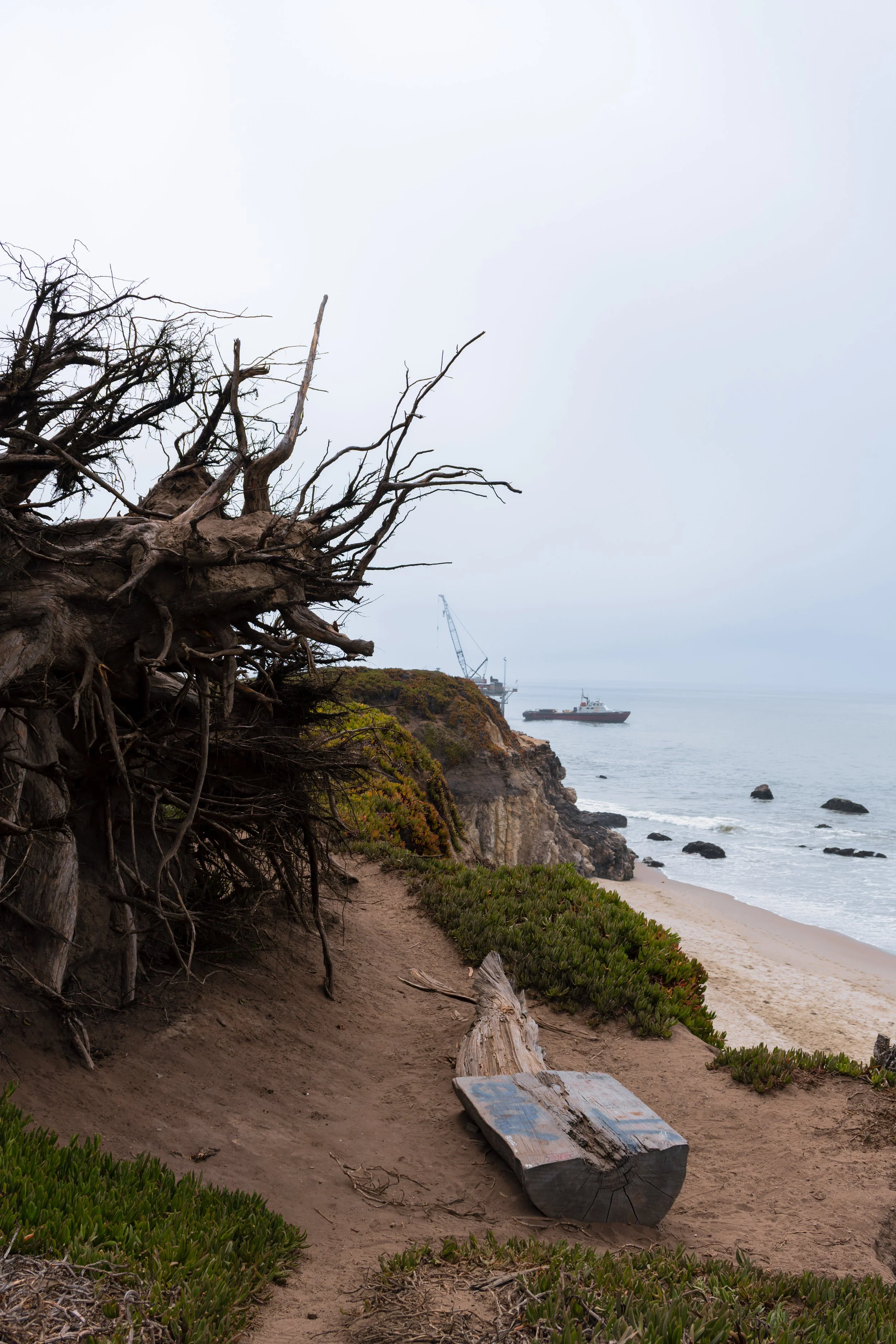Carpinteria Bluffs Bench View.jpg