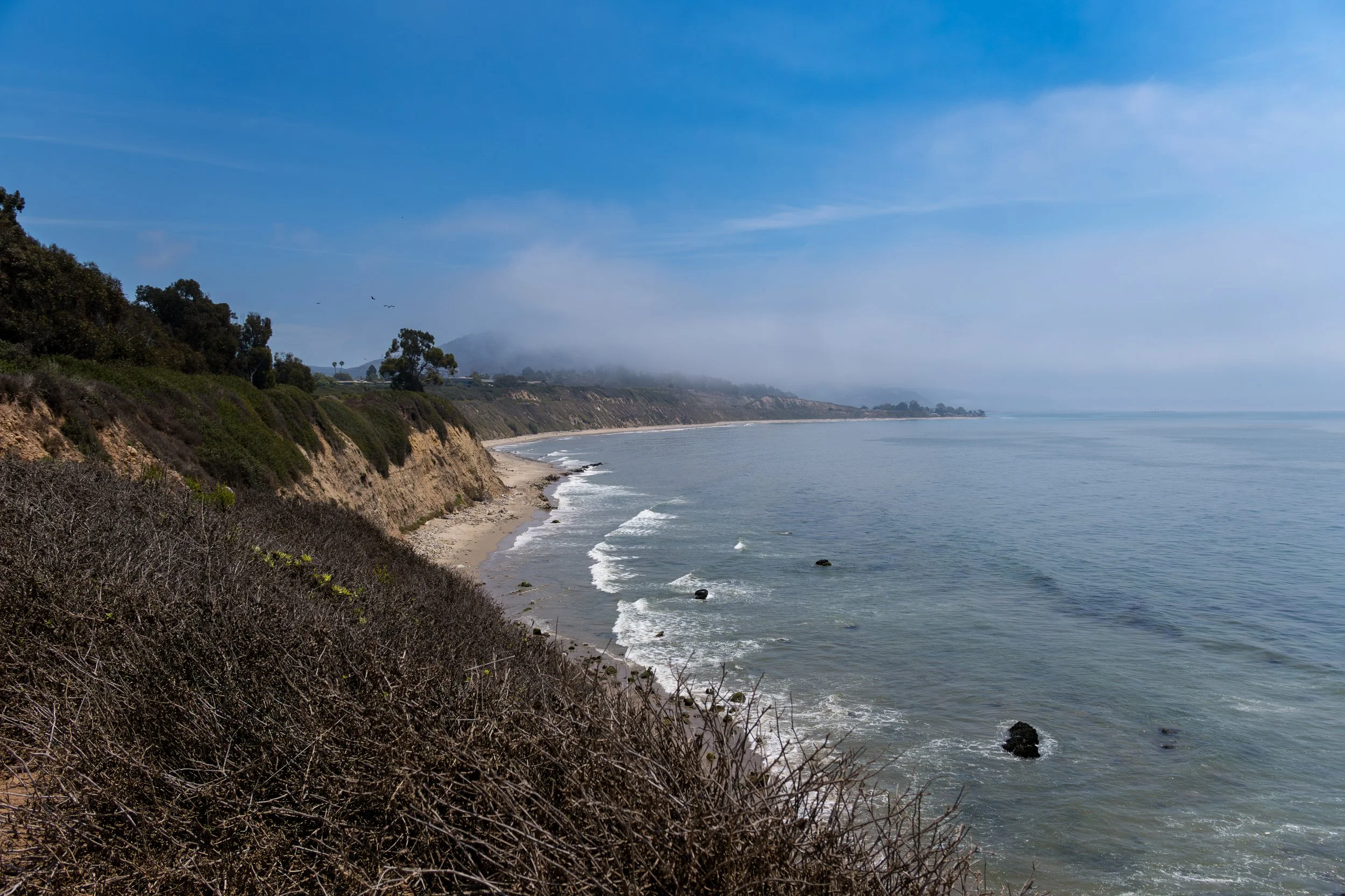 A Wildlife Hike at Carpinteria Seal Rookery
