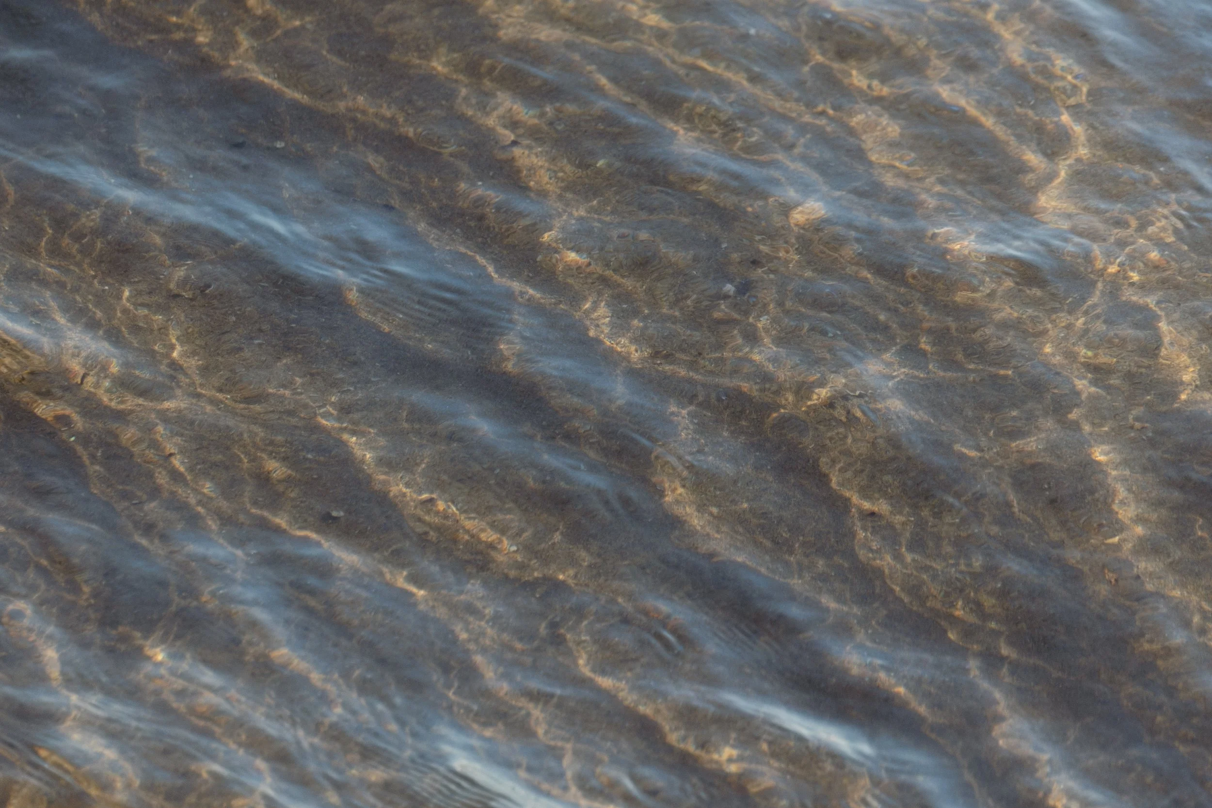 Clear Waters.jpg