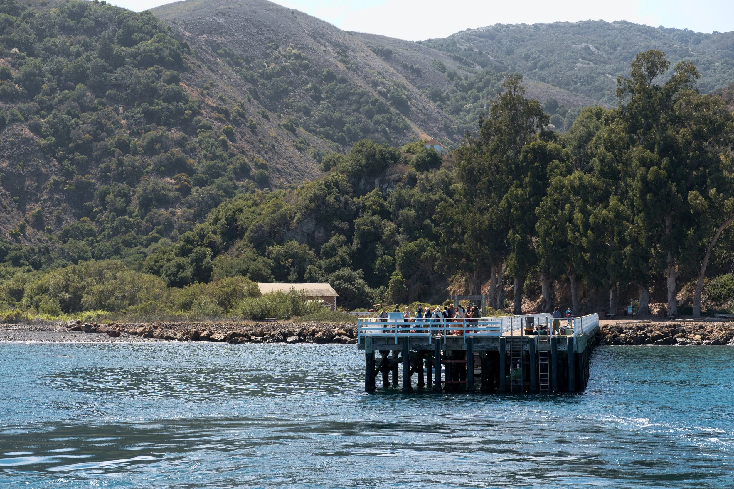 Prisoner's Harbor Dock.jpg