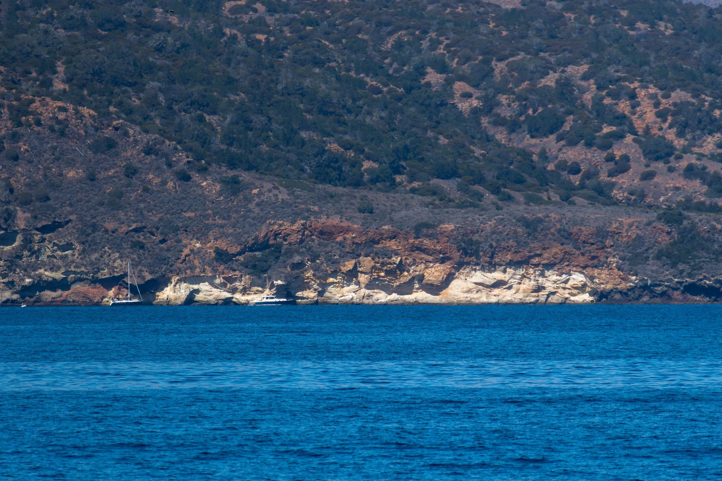 Boats Moored.jpg
