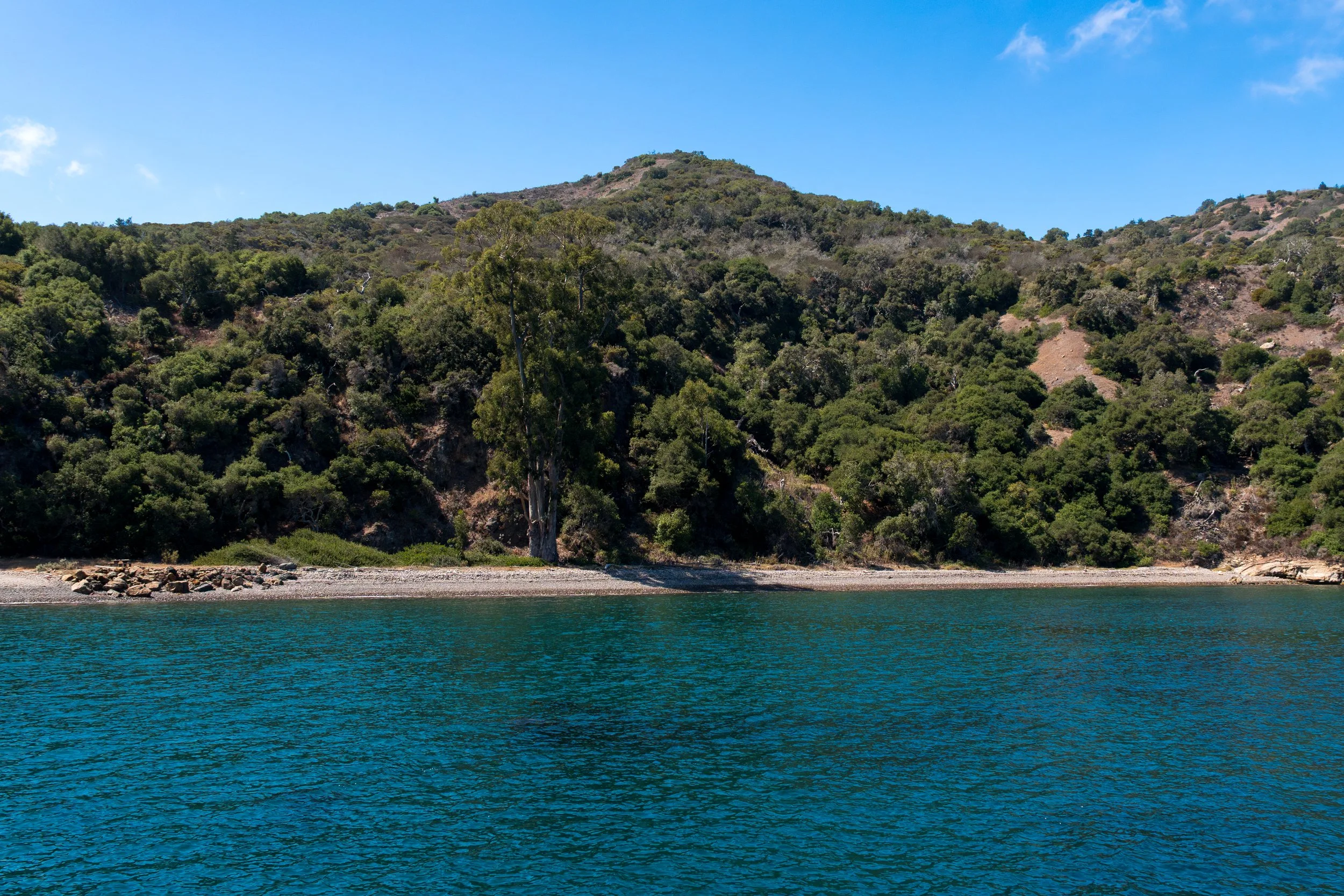 Prisoner's Harbor Shoreline.jpg