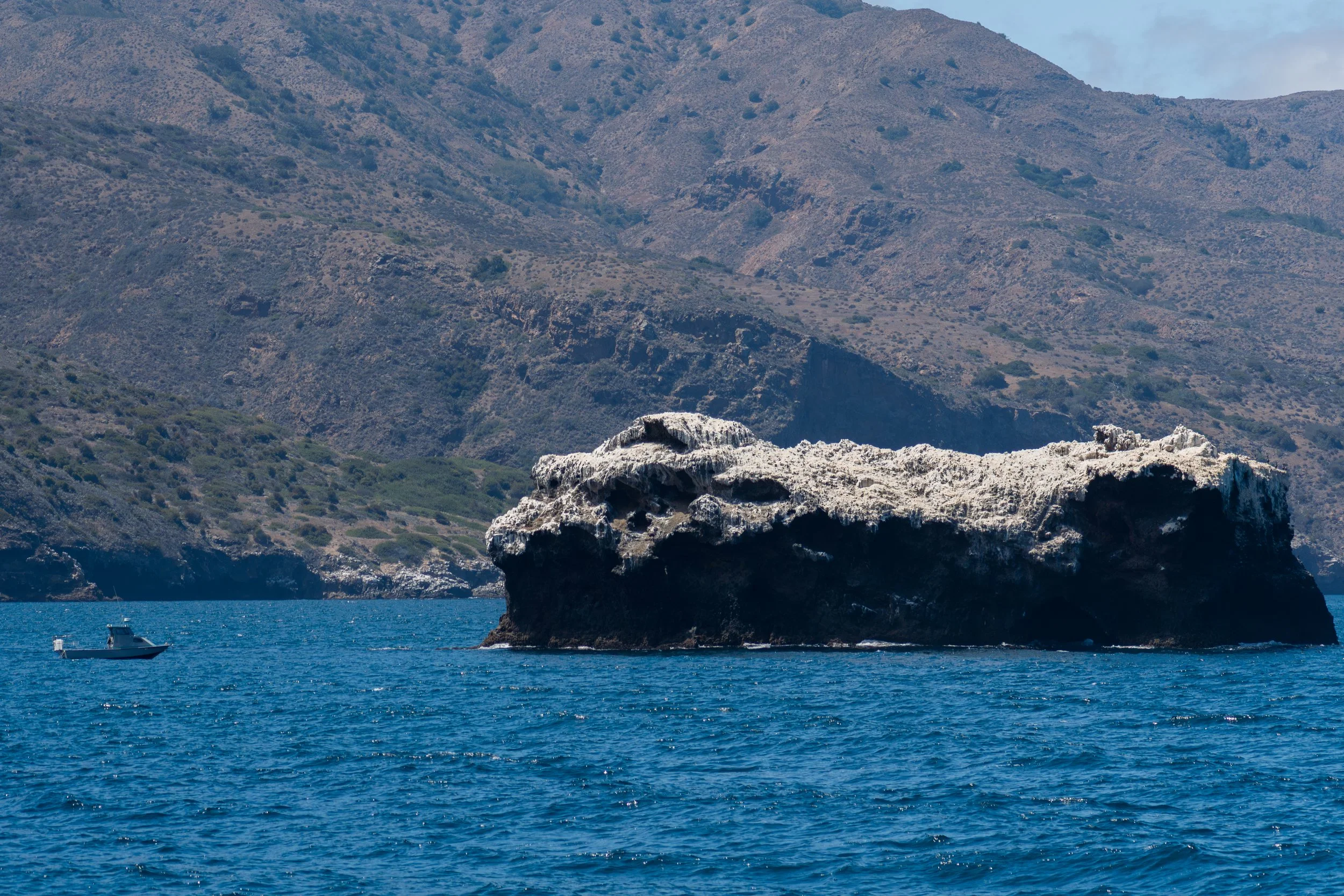Rock with Guano.jpg