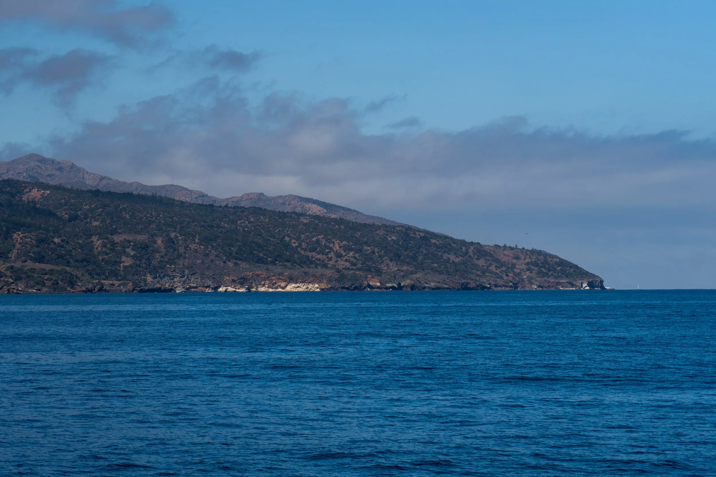 Santa Cruz Island.jpg