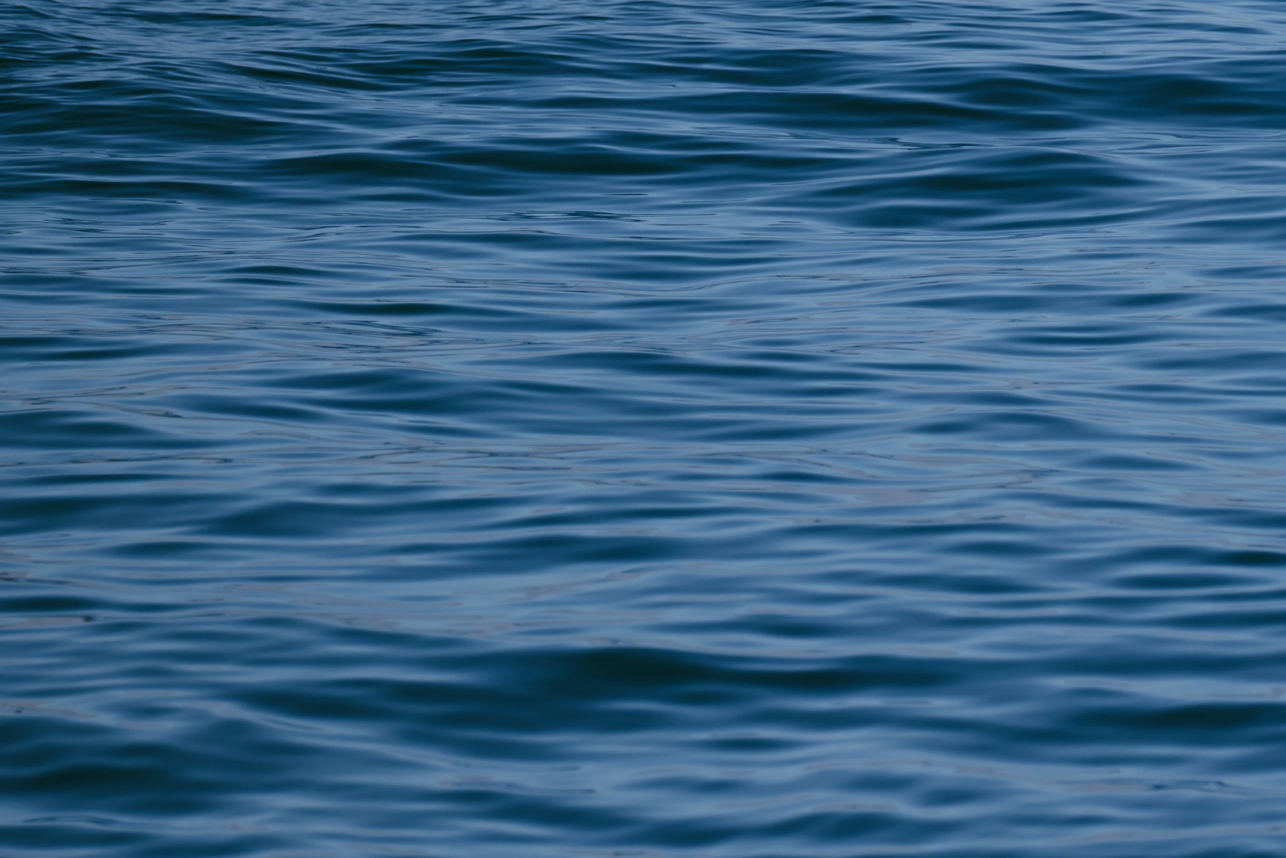Texture of the Tide - West Santa Cruz Island.jpg