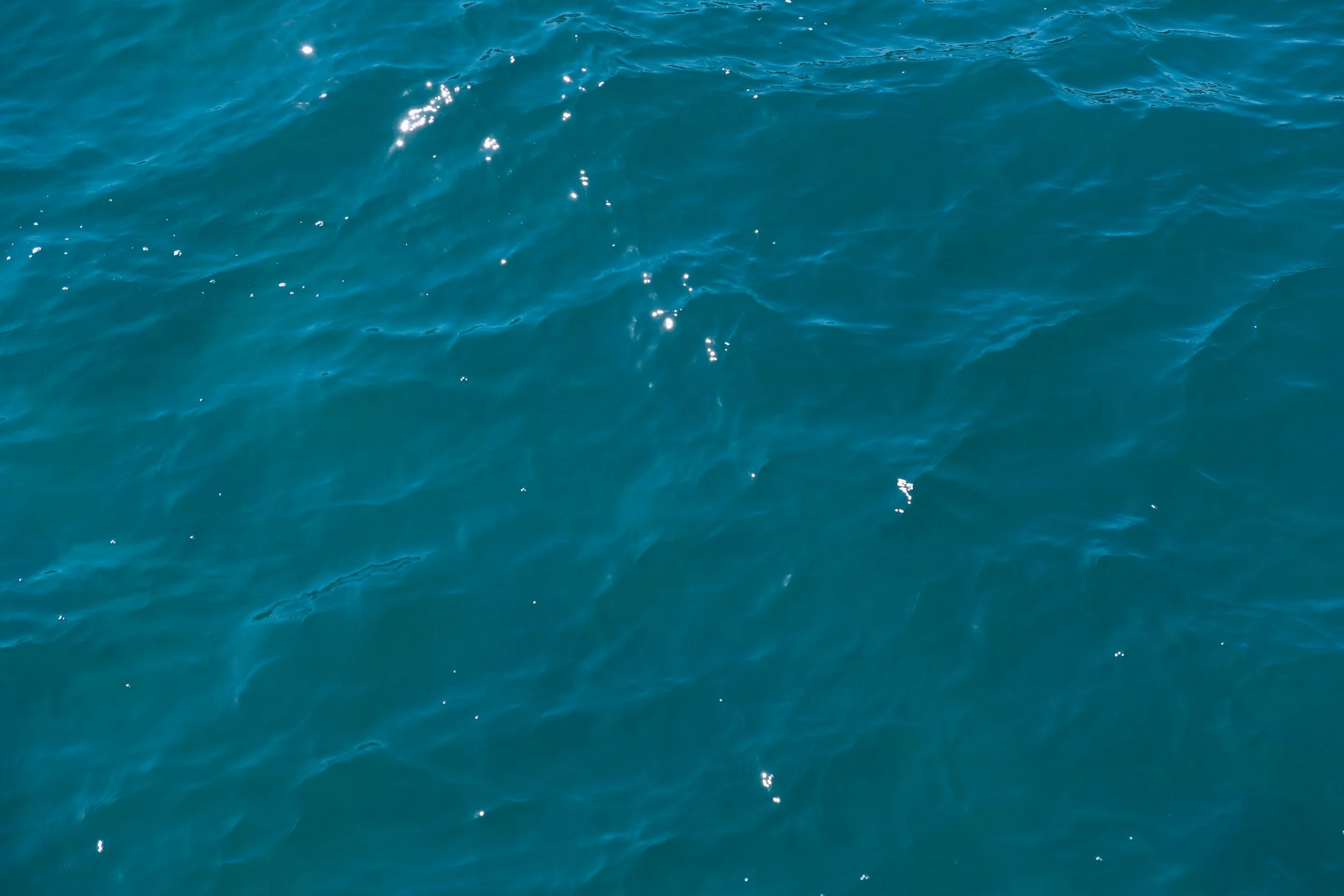 Texture of the Tide - Santa Cruz Island.jpg