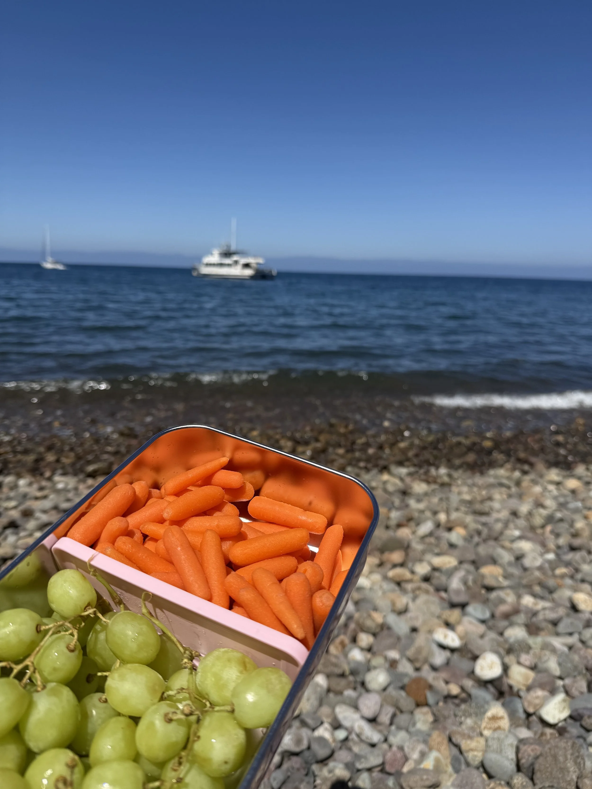 Lunch.jpeg