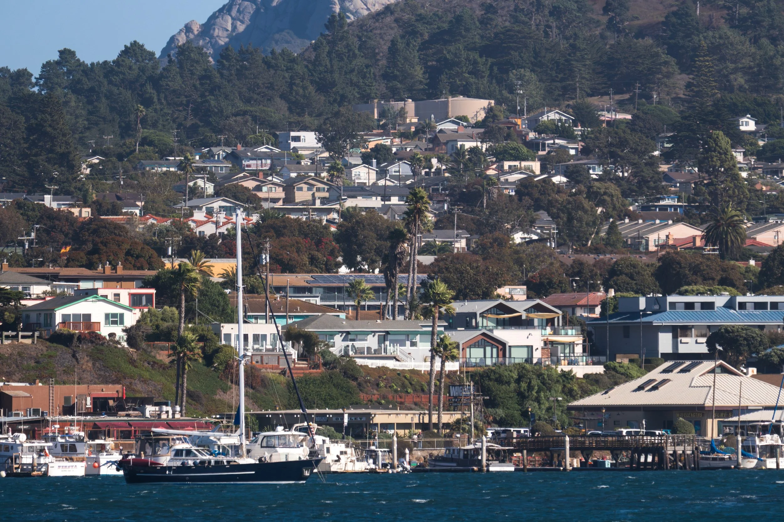 Morro Bay Harbor Hillside View