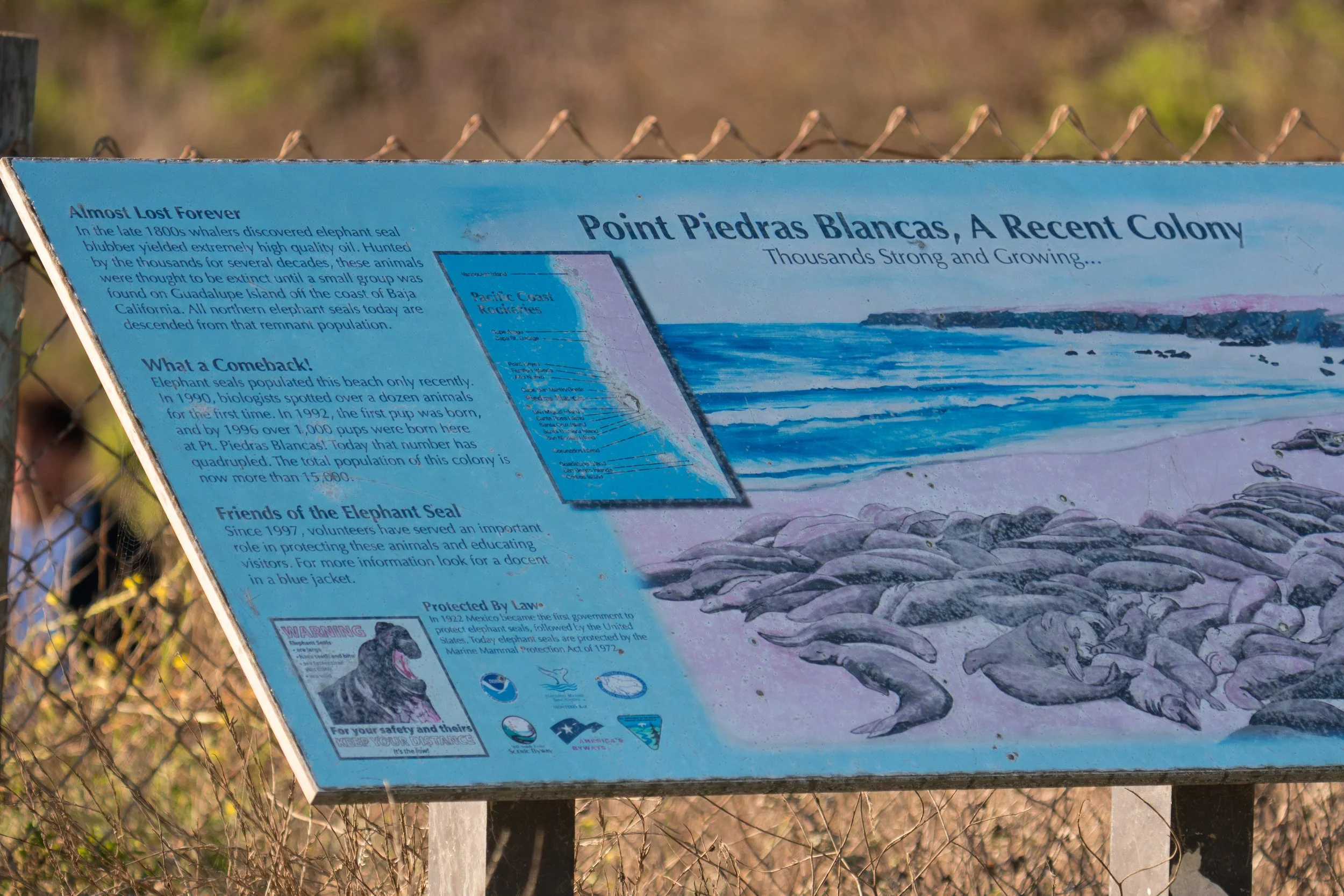 piedras-blancas-interpretive-sign.jpg