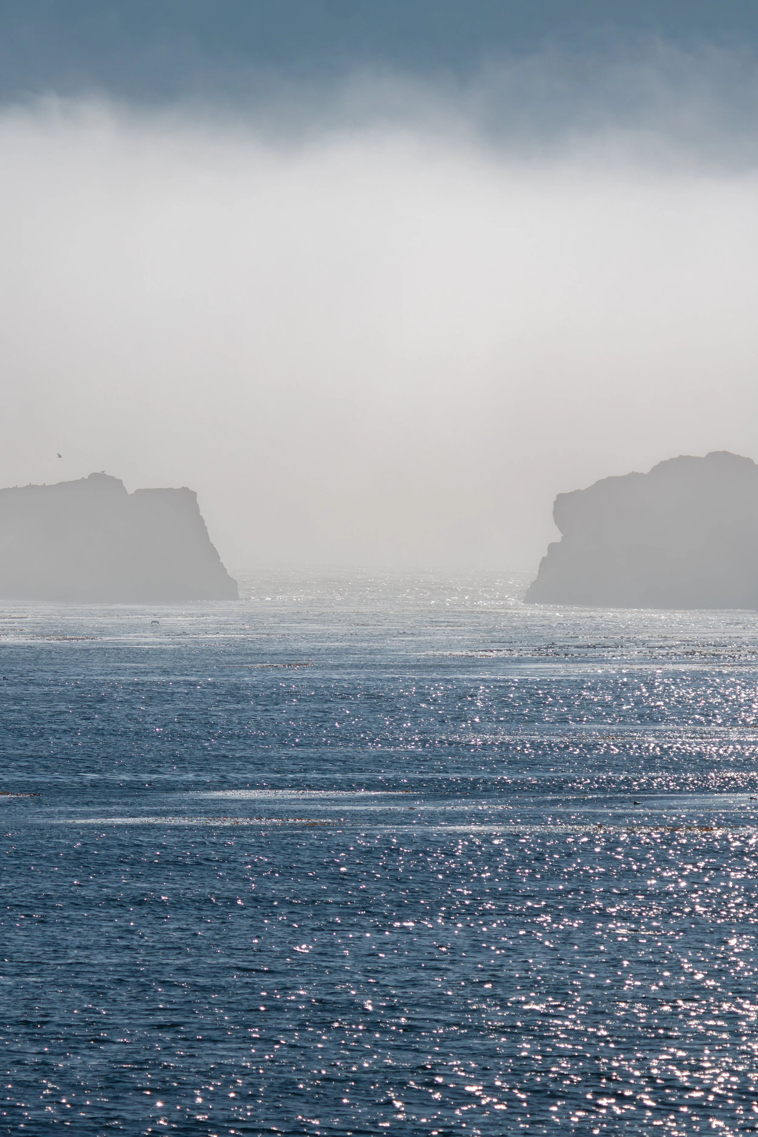 piedras-blancas-fog-gap.jpg
