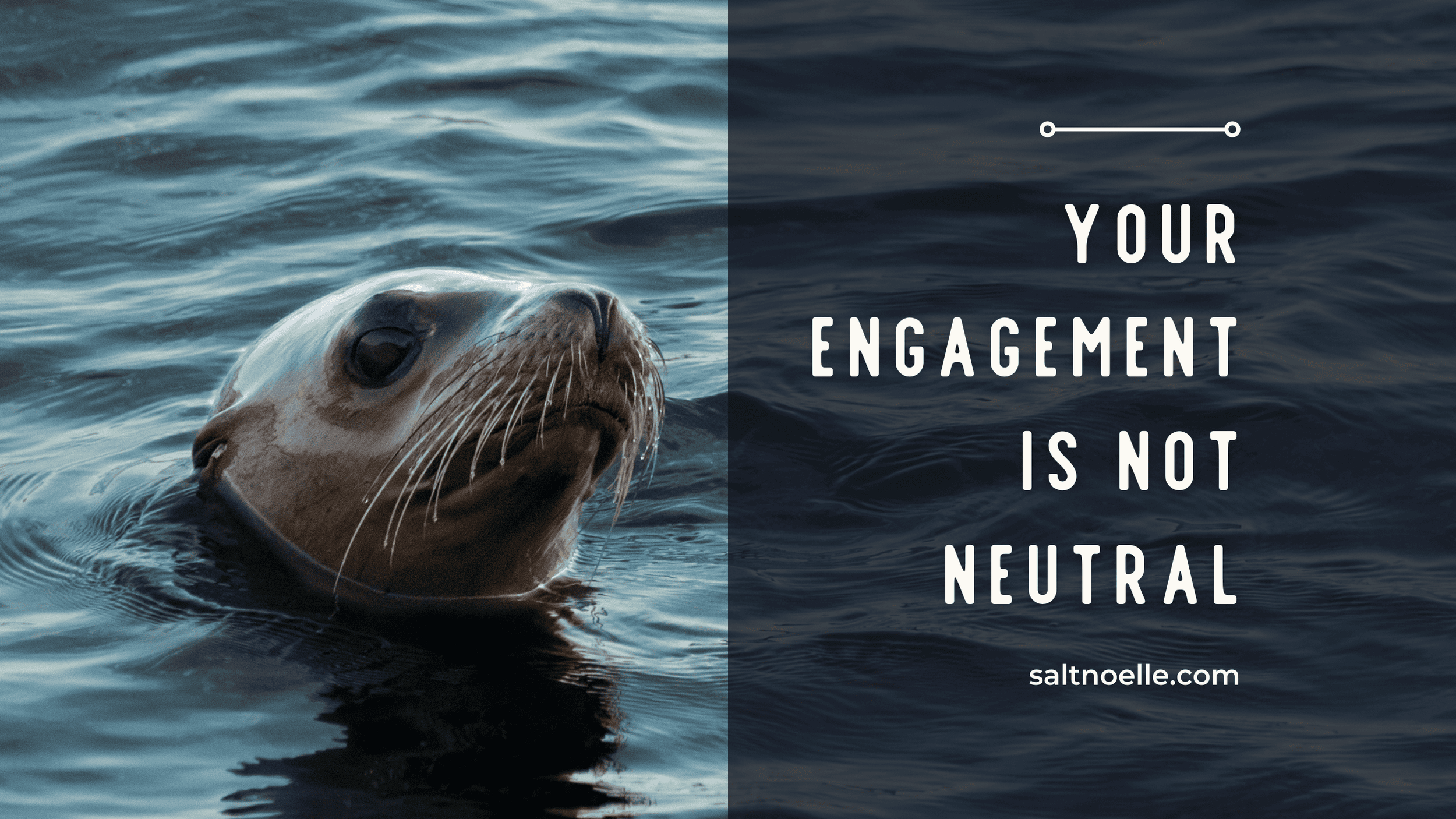 Beyond Punch the Monkey: Responsible Wildlife Content Consumption