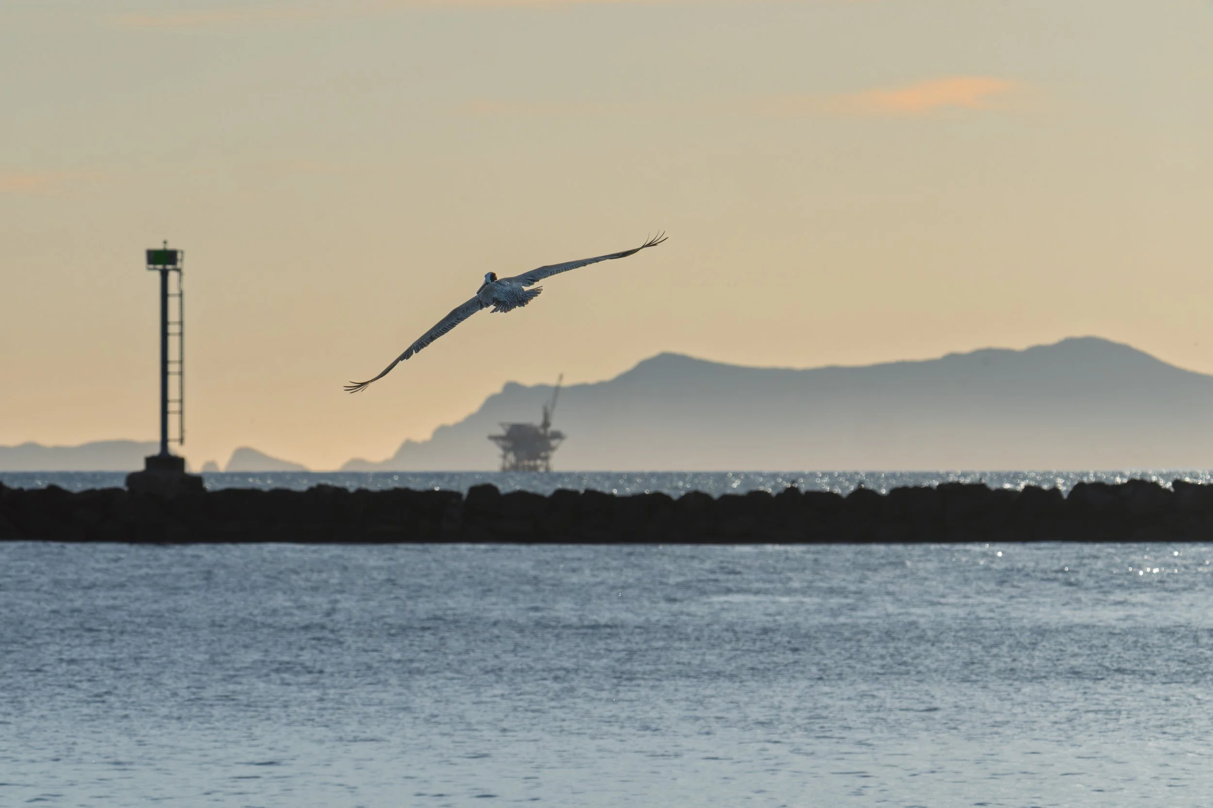 A seagull flying over the water with an offshore oil rig and mountainous coastline in the background at sunset.