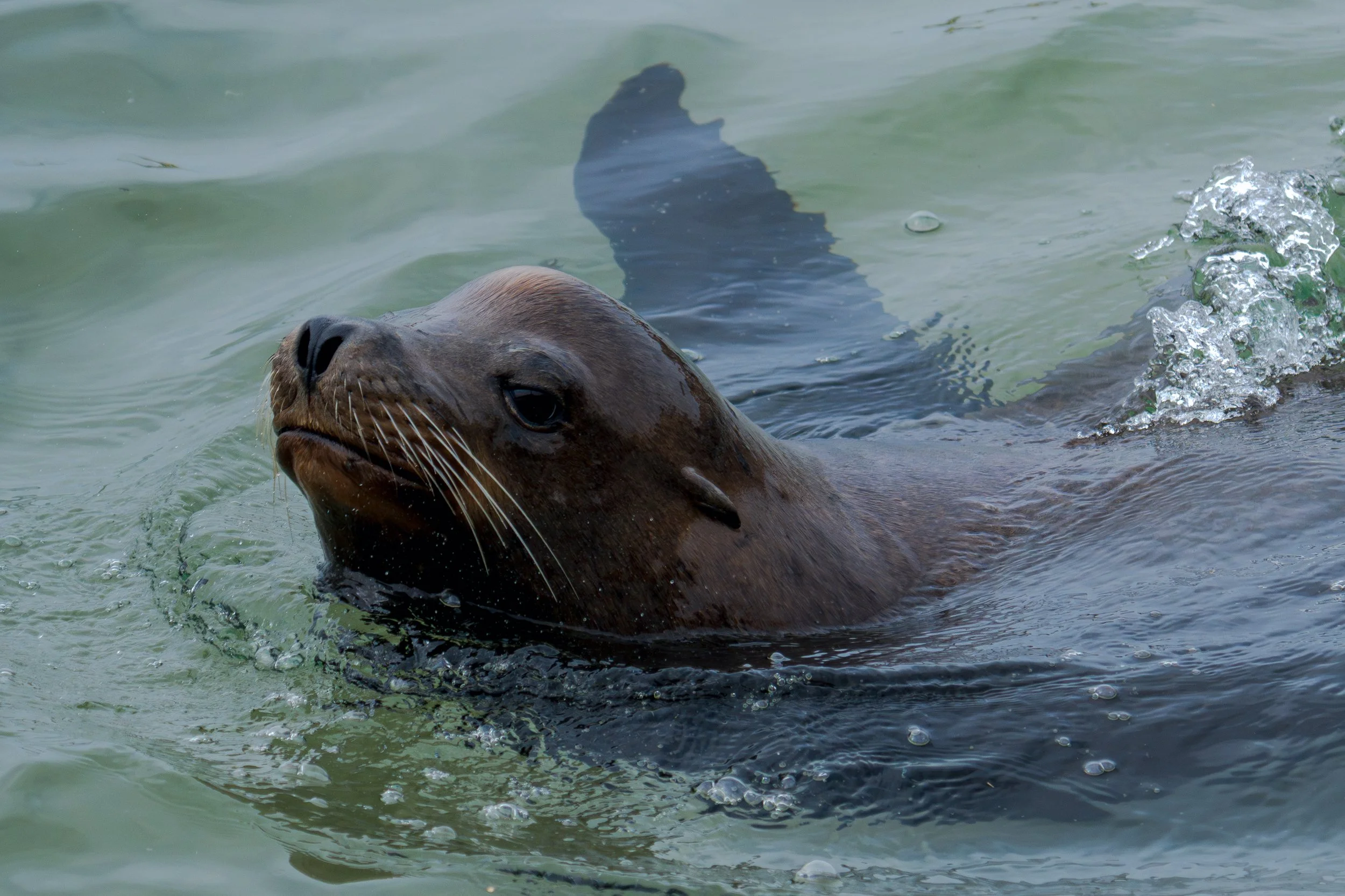 Cleared for Takeoff.jpg