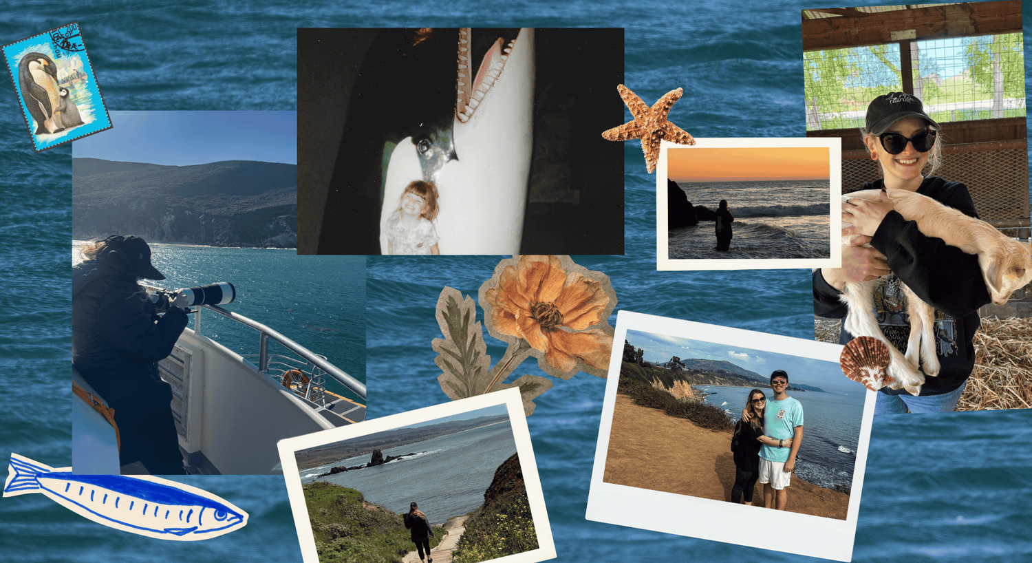 Scrapbook collage of coastal photography and field moments from the Founder's Journal.