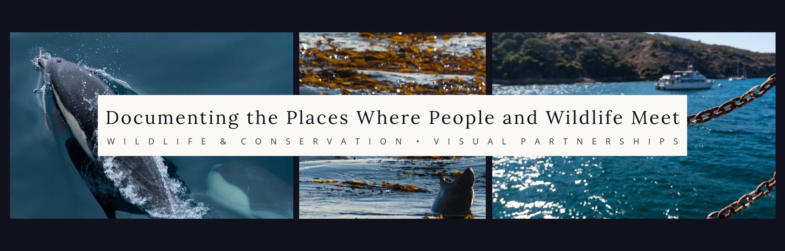 Collage of marine wildlife and coastal scenery with the text 'Documenting the Places Where People and Wildlife Meet' and 'Wildlife & Conservation • Visual Partnerships' overlaid.