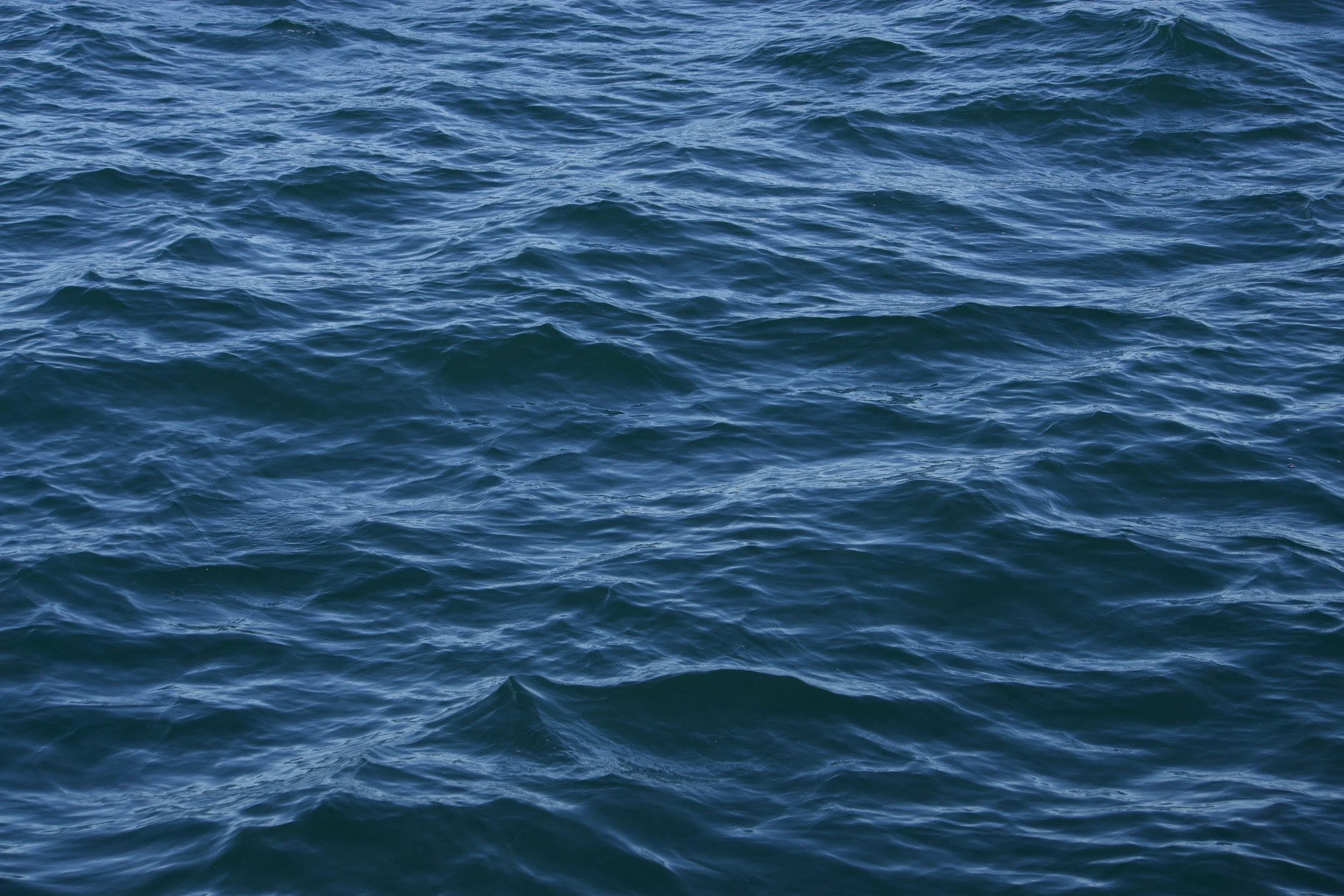 Open ocean with rippling blue water.