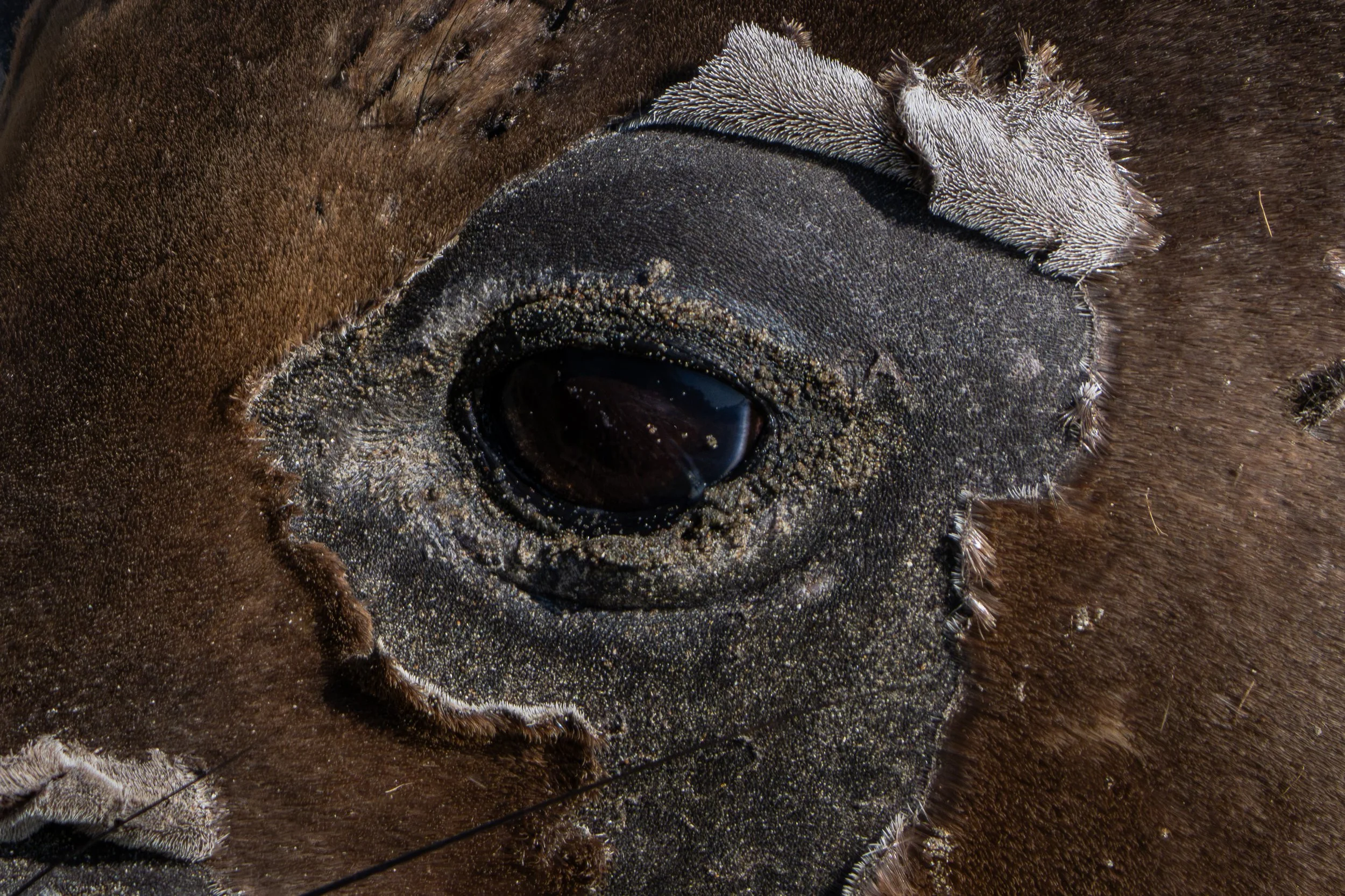 The Eye -May 07, 2026-13.jpg