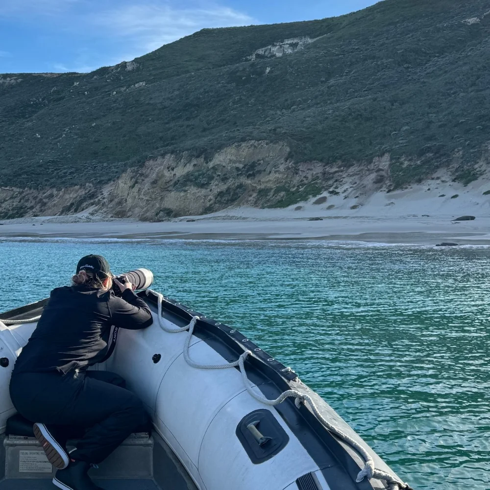 Alexis Noelle Galasso photographing elephant seals with a telephoto lens from a Zodiac in Cuyler Harbor, San Miguel Island.