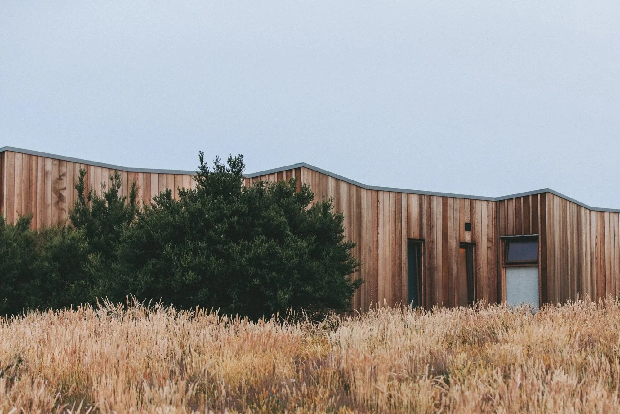 Modern timber-clad sustainable house with native landscaping in Victoria.