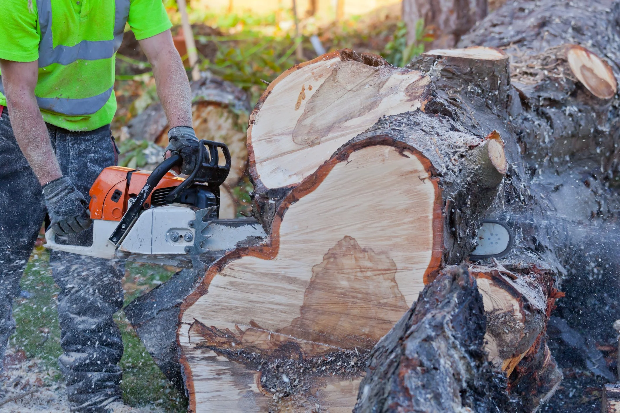 Tree Cutting 2