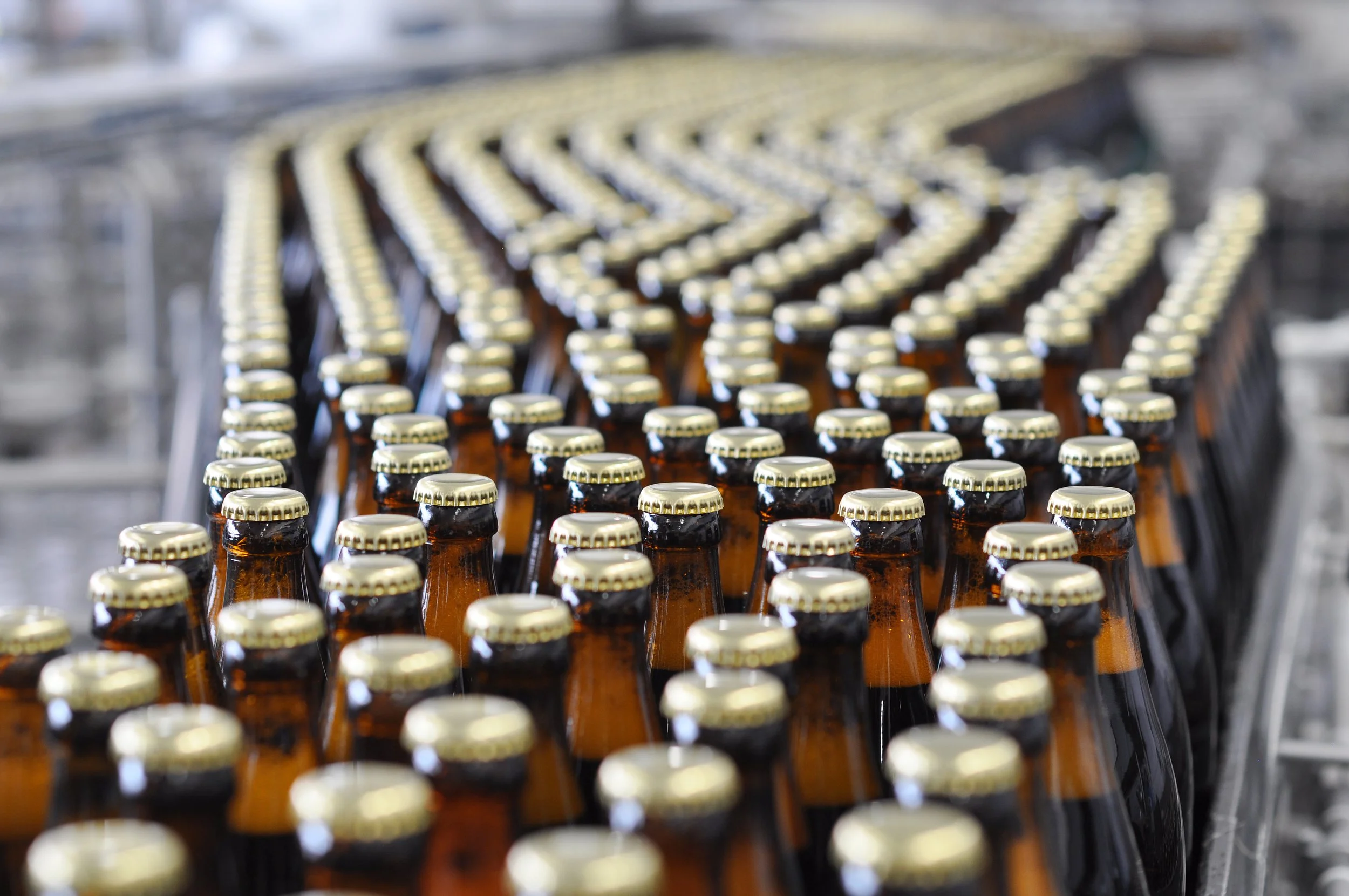 Multiple rows of brown glass bottles with gold caps on a conveyor belt, likely in a factory or bottling plant.